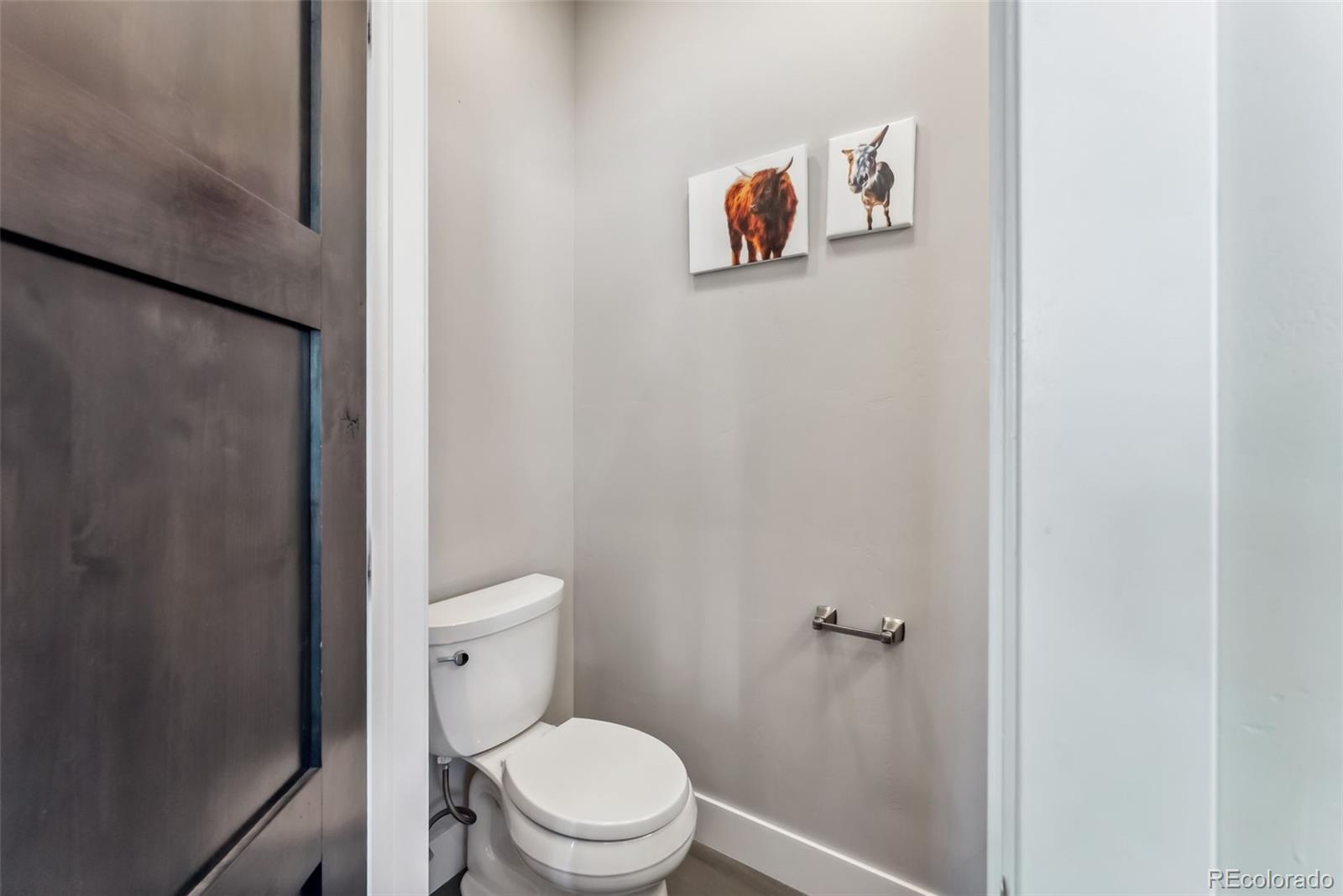 MLS Image #19 for 255  flannigan circle,alma, Colorado