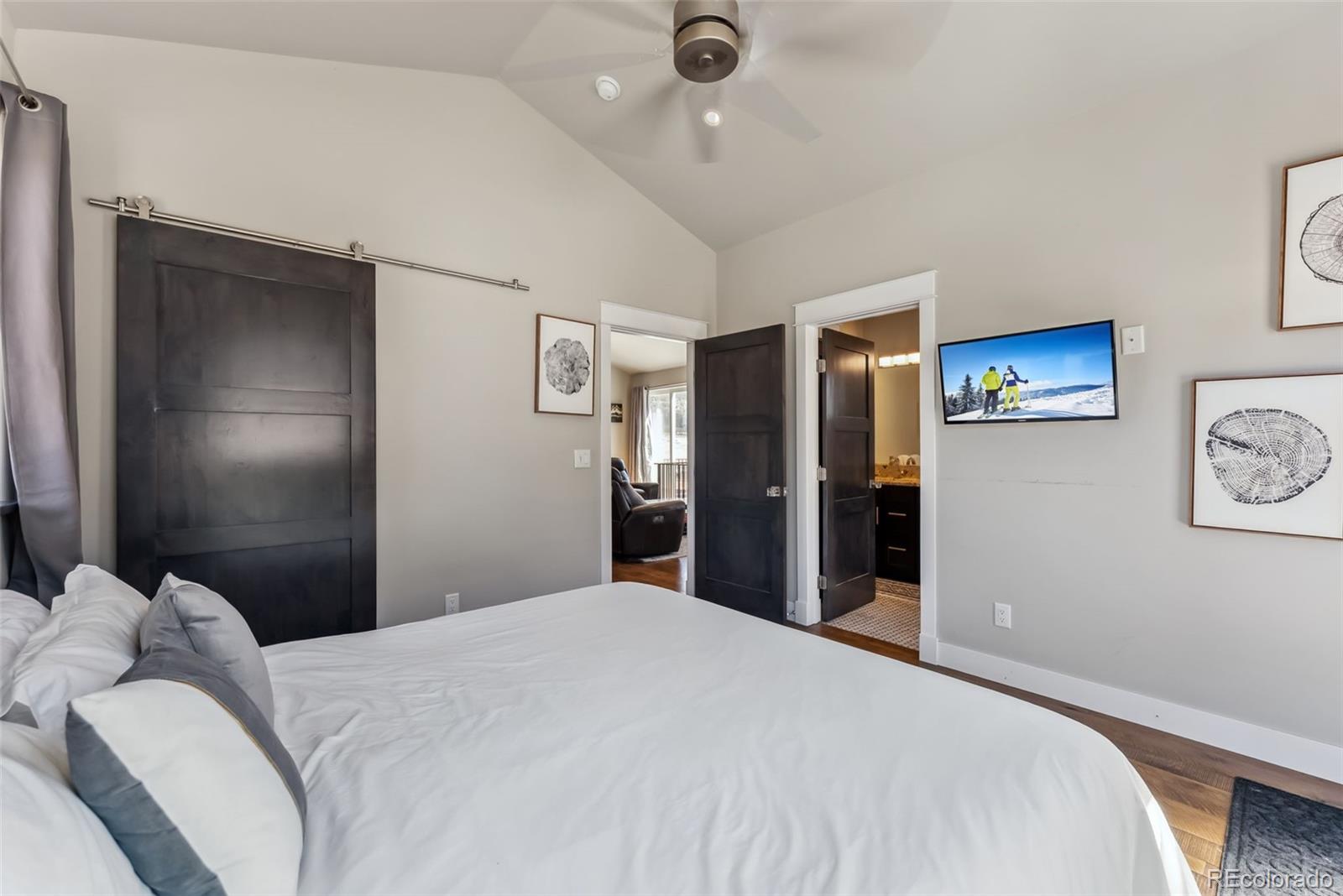 MLS Image #23 for 255  flannigan circle,alma, Colorado