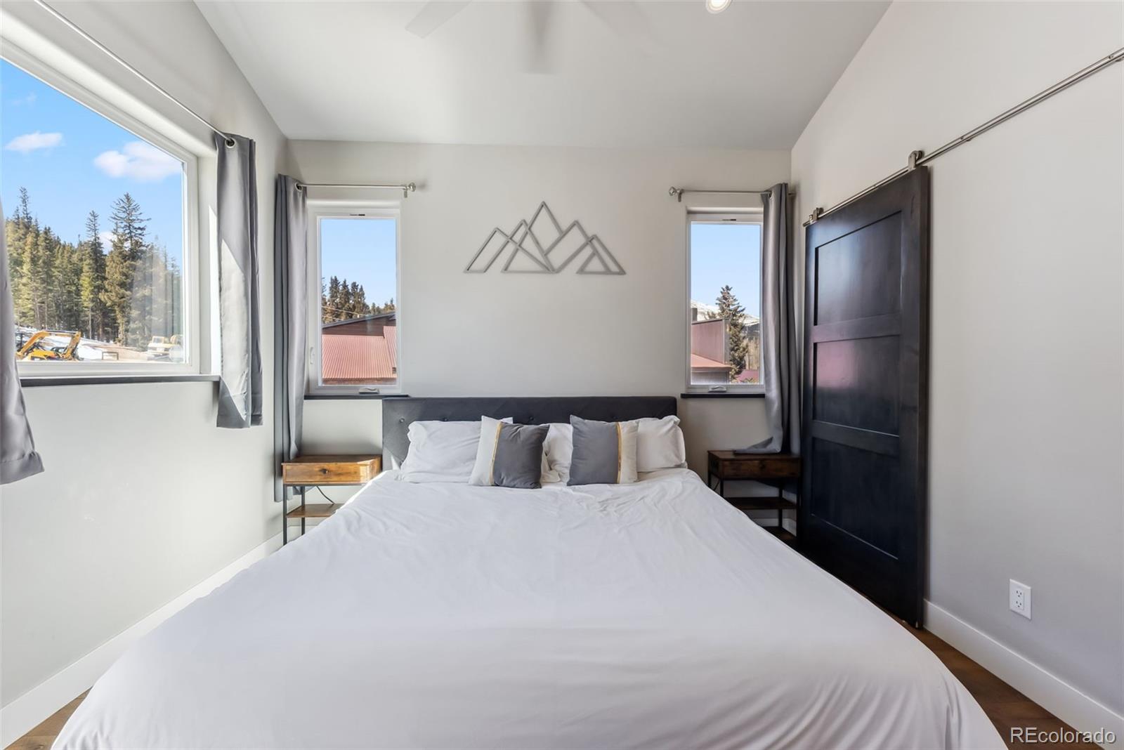 MLS Image #28 for 255  flannigan circle,alma, Colorado