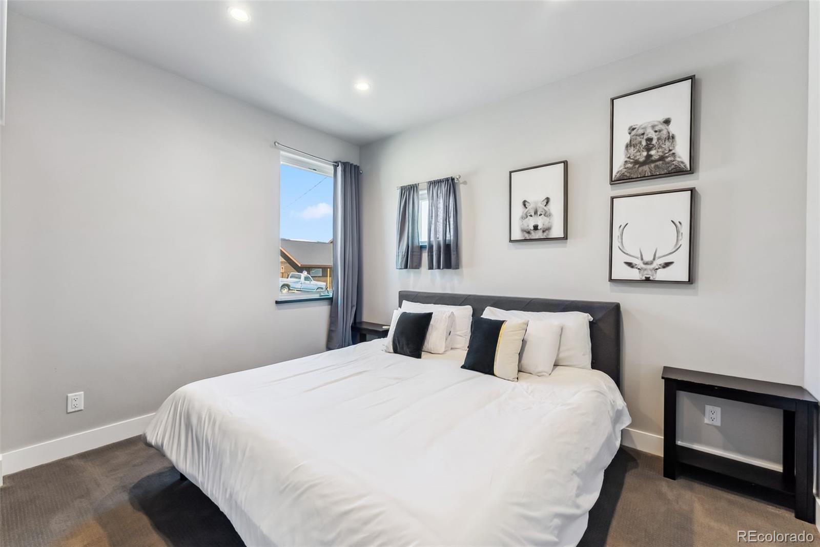 MLS Image #29 for 255  flannigan circle,alma, Colorado