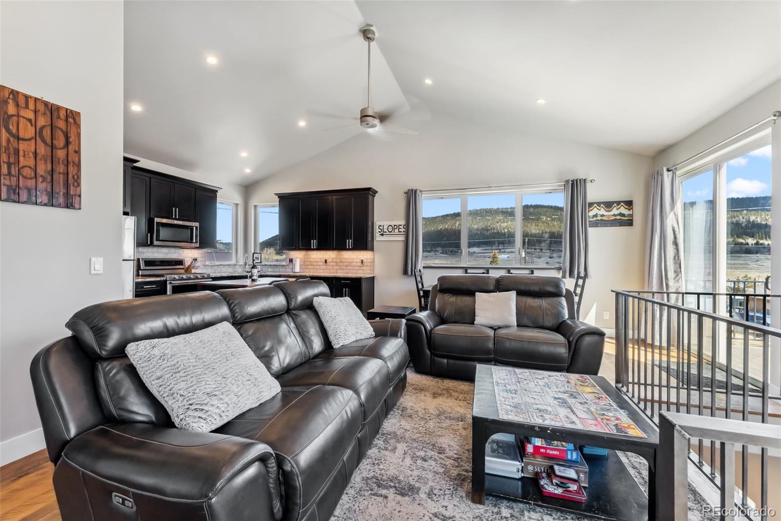 MLS Image #6 for 255  flannigan circle,alma, Colorado