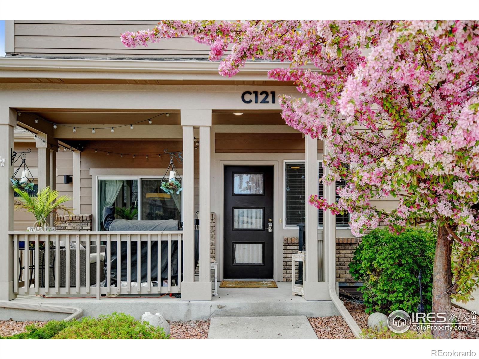MLS Image #2 for 2608  kansas drive,fort collins, Colorado