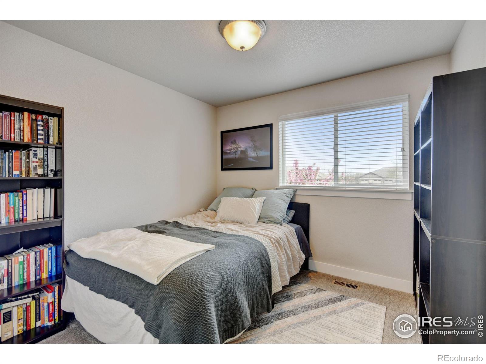MLS Image #20 for 2608  kansas drive,fort collins, Colorado