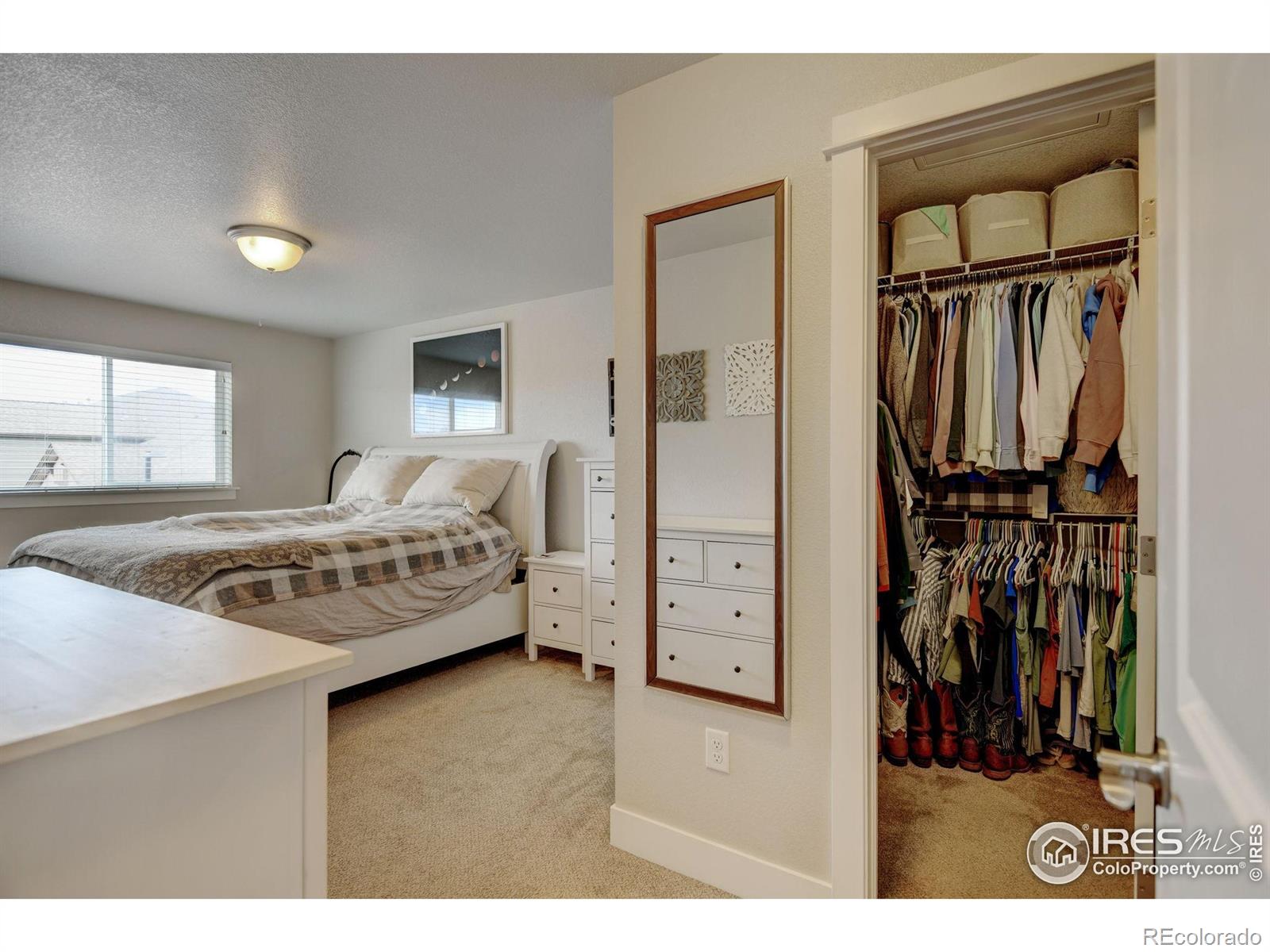 MLS Image #22 for 2608  kansas drive,fort collins, Colorado
