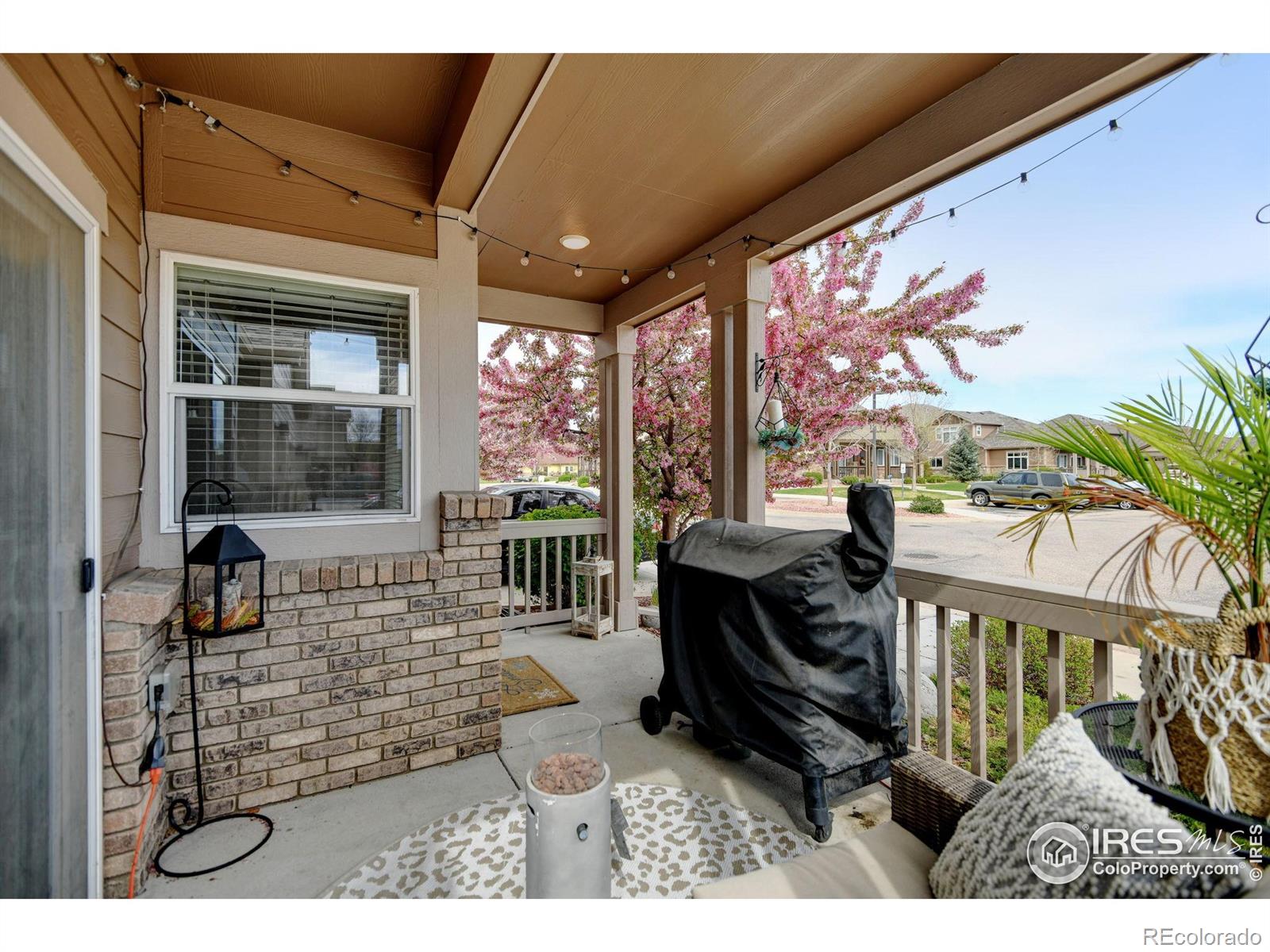 MLS Image #25 for 2608  kansas drive,fort collins, Colorado