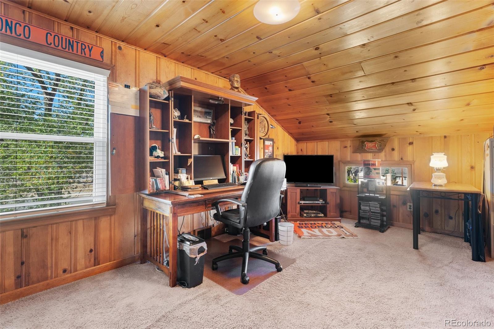 MLS Image #28 for 1317 e uintah street,colorado springs, Colorado