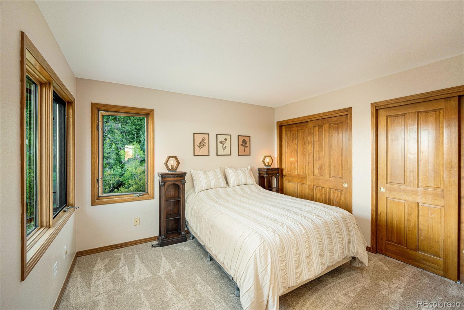 MLS Image #22 for 10592  raven run,littleton, Colorado