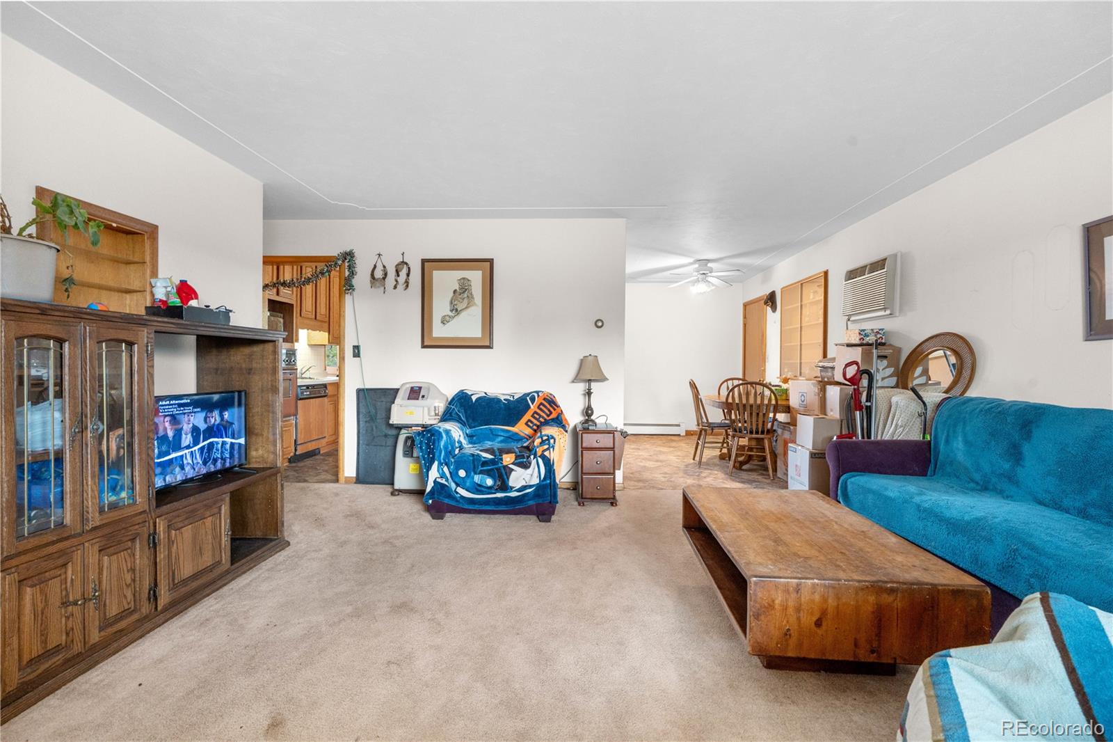 MLS Image #4 for 258 s 14th avenue,brighton, Colorado