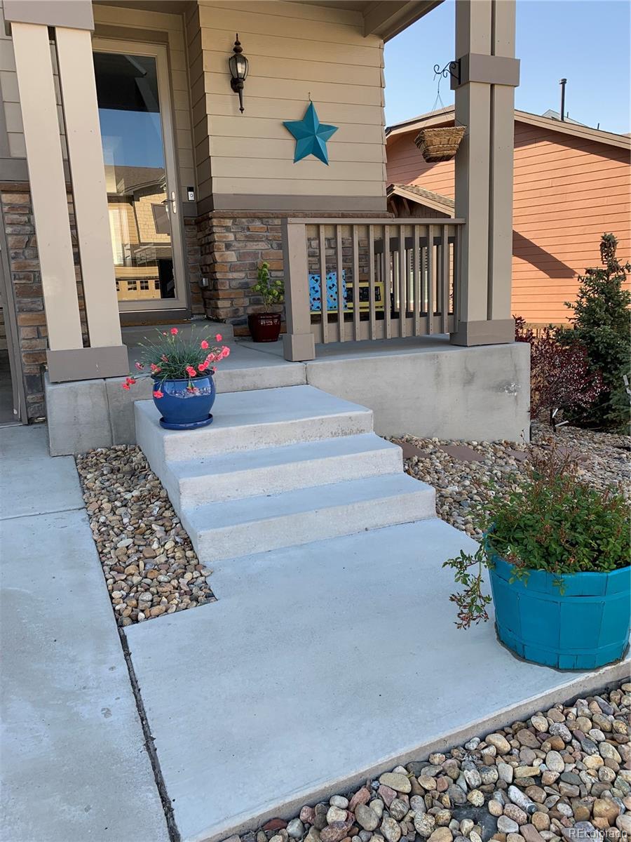 MLS Image #18 for 3173  youngheart way,castle rock, Colorado