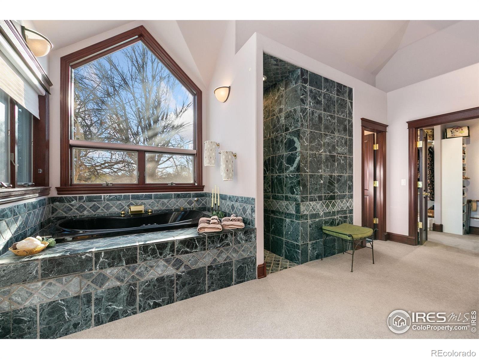 MLS Image #23 for 7733  park ridge circle,fort collins, Colorado