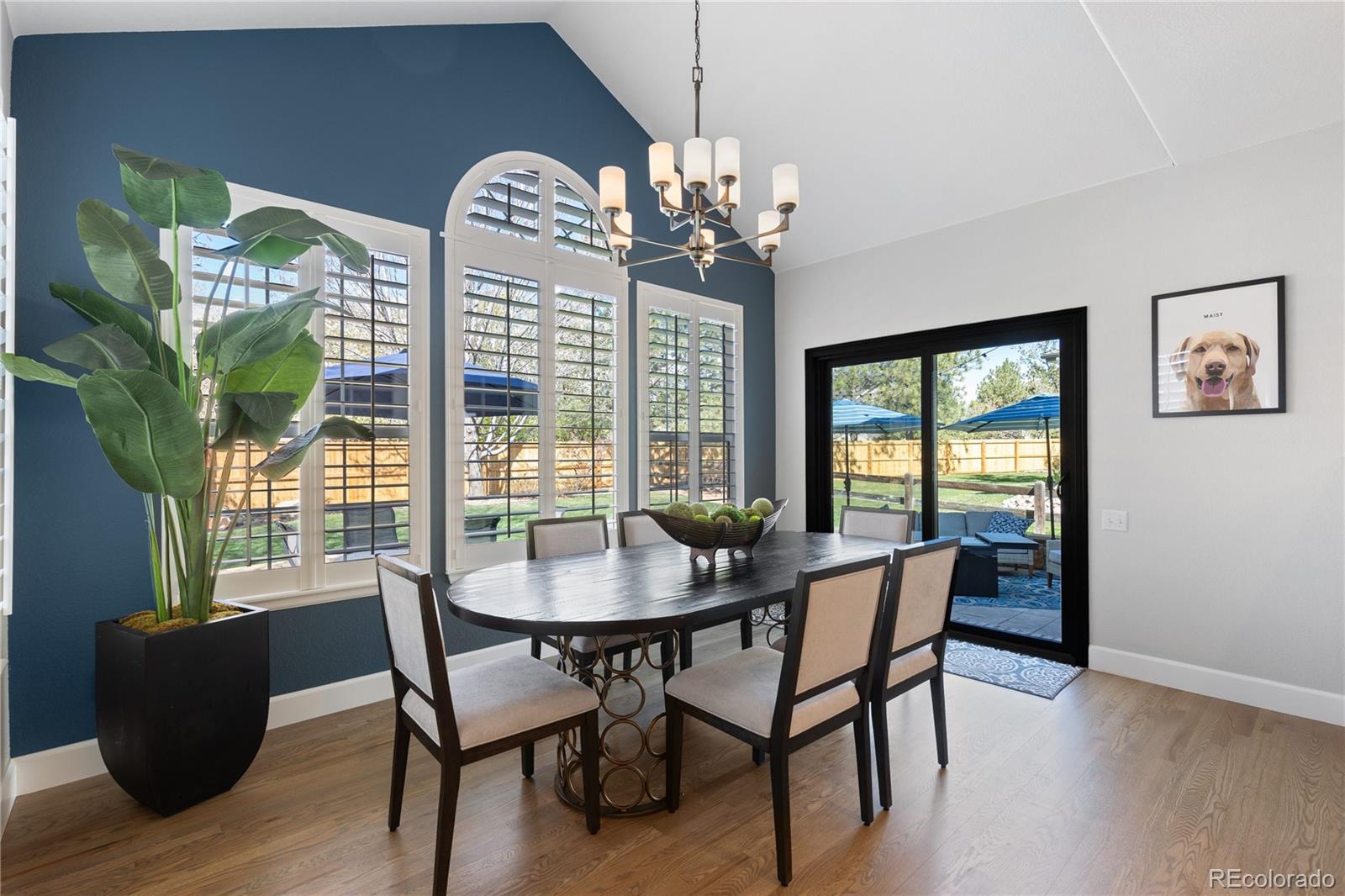 MLS Image #11 for 7106  cerney circle,castle pines, Colorado