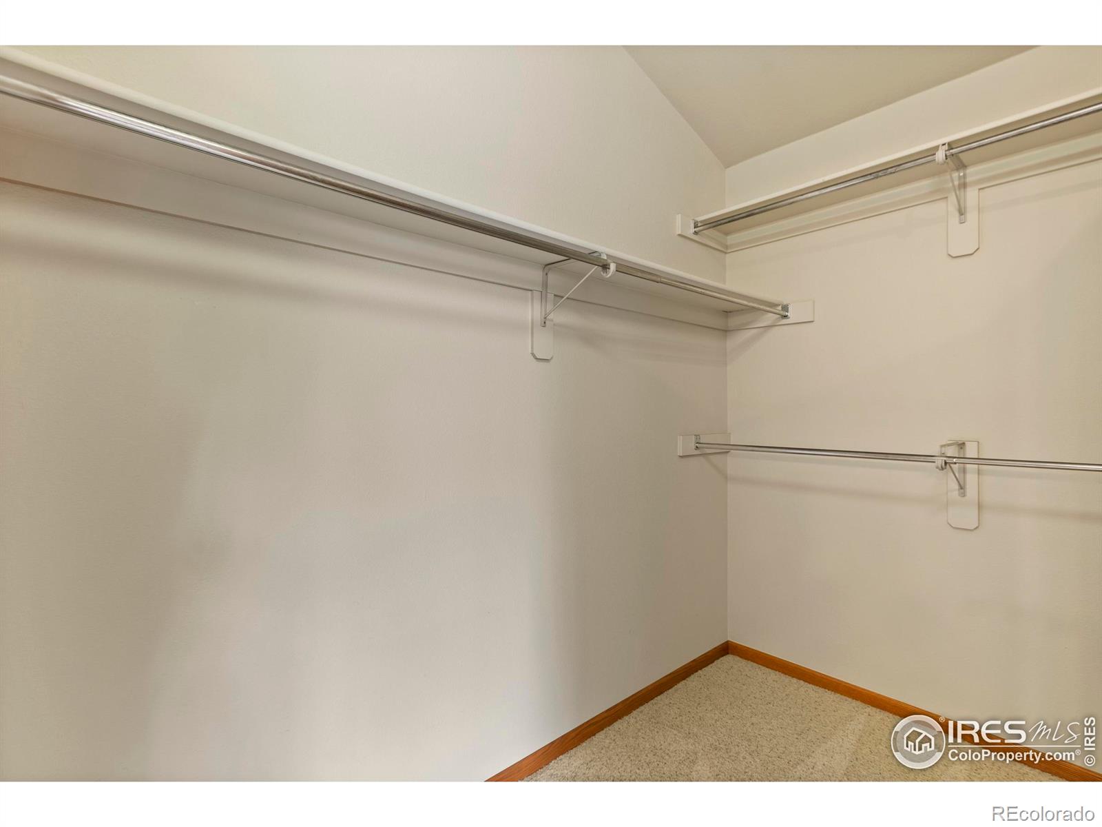 MLS Image #14 for 1000  battsford circle,fort collins, Colorado