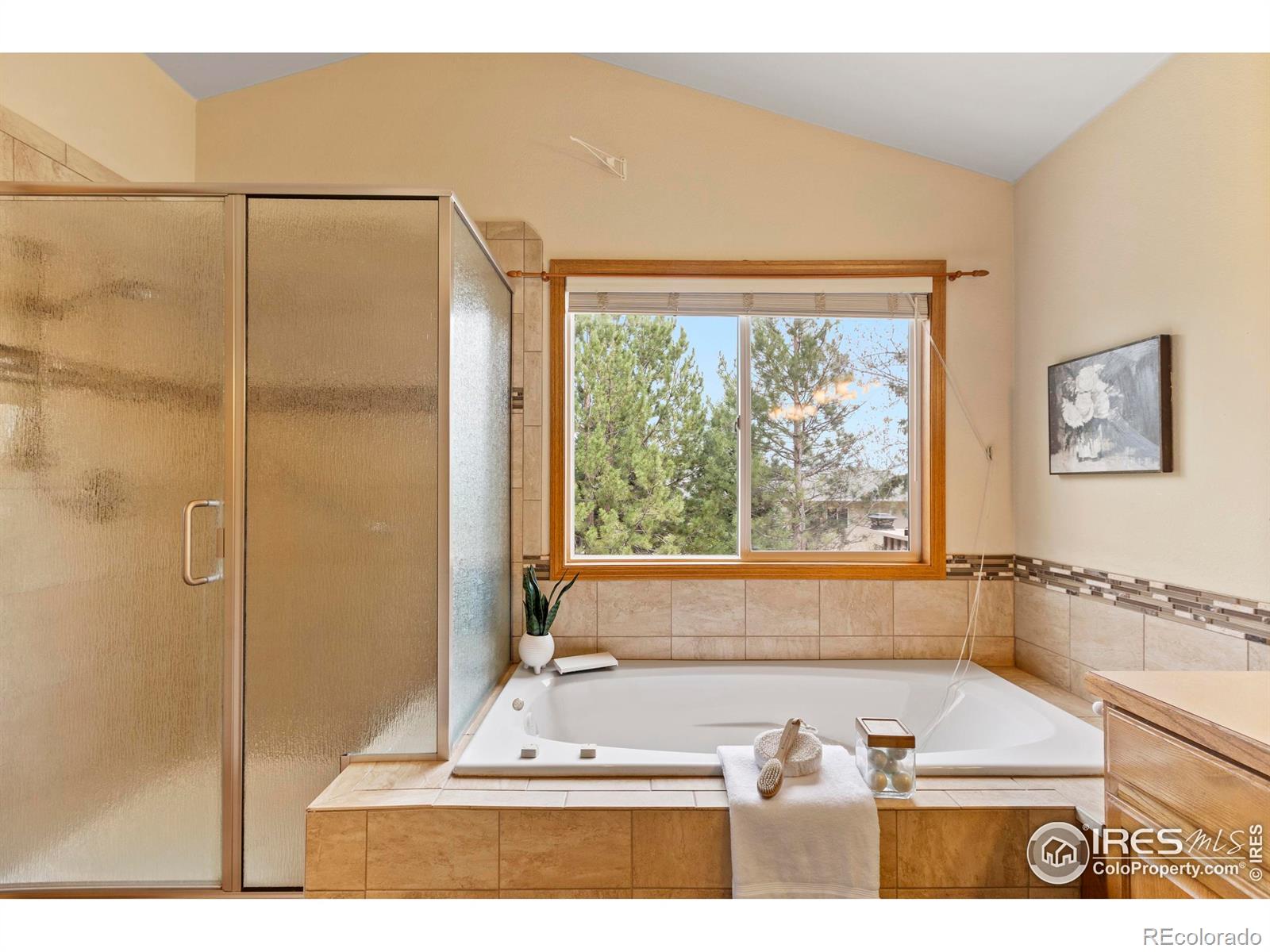 MLS Image #16 for 1000  battsford circle,fort collins, Colorado