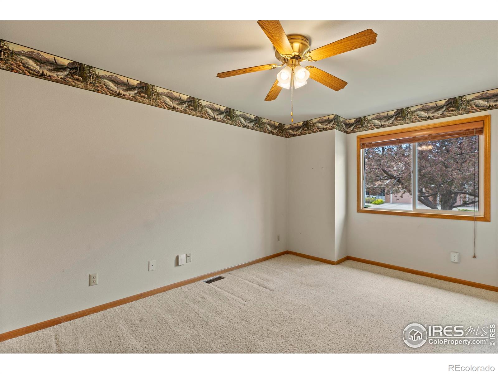 MLS Image #19 for 1000  battsford circle,fort collins, Colorado