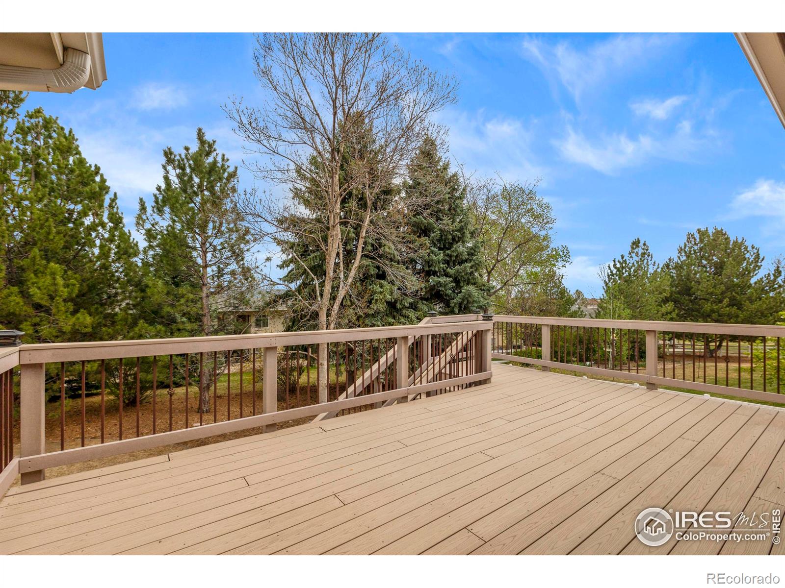 MLS Image #28 for 1000  battsford circle,fort collins, Colorado