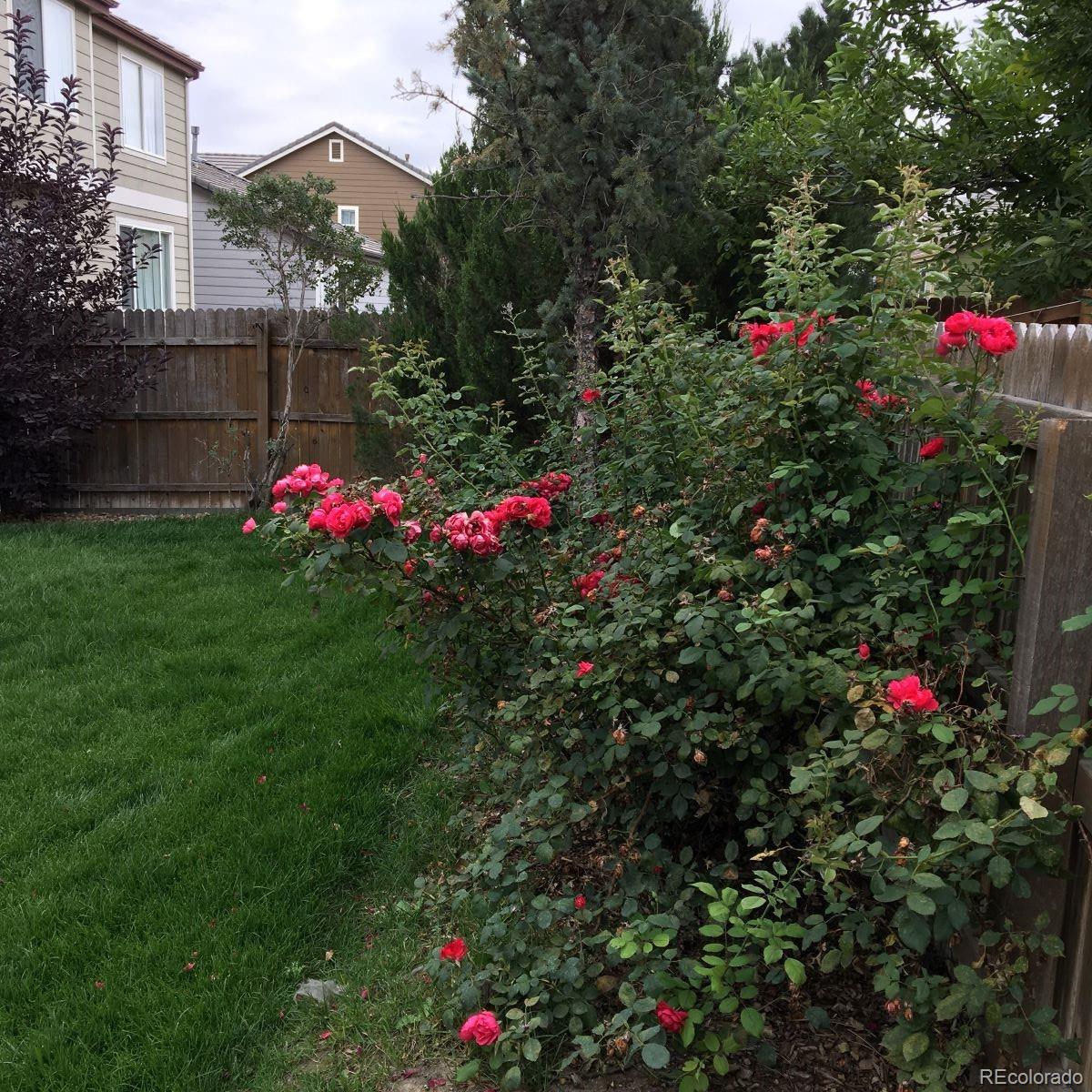 MLS Image #30 for 15594 e 97th avenue,commerce city, Colorado