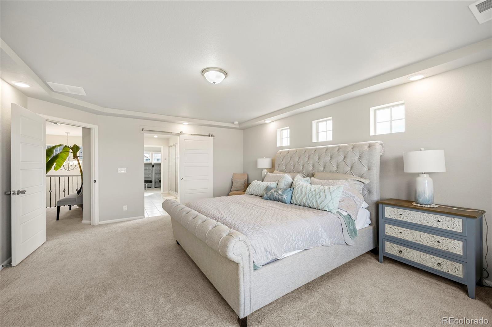 MLS Image #13 for 20503 e 50th place,denver, Colorado