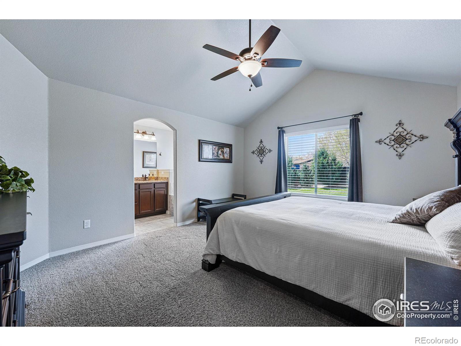 MLS Image #13 for 725  canyonlands street,berthoud, Colorado