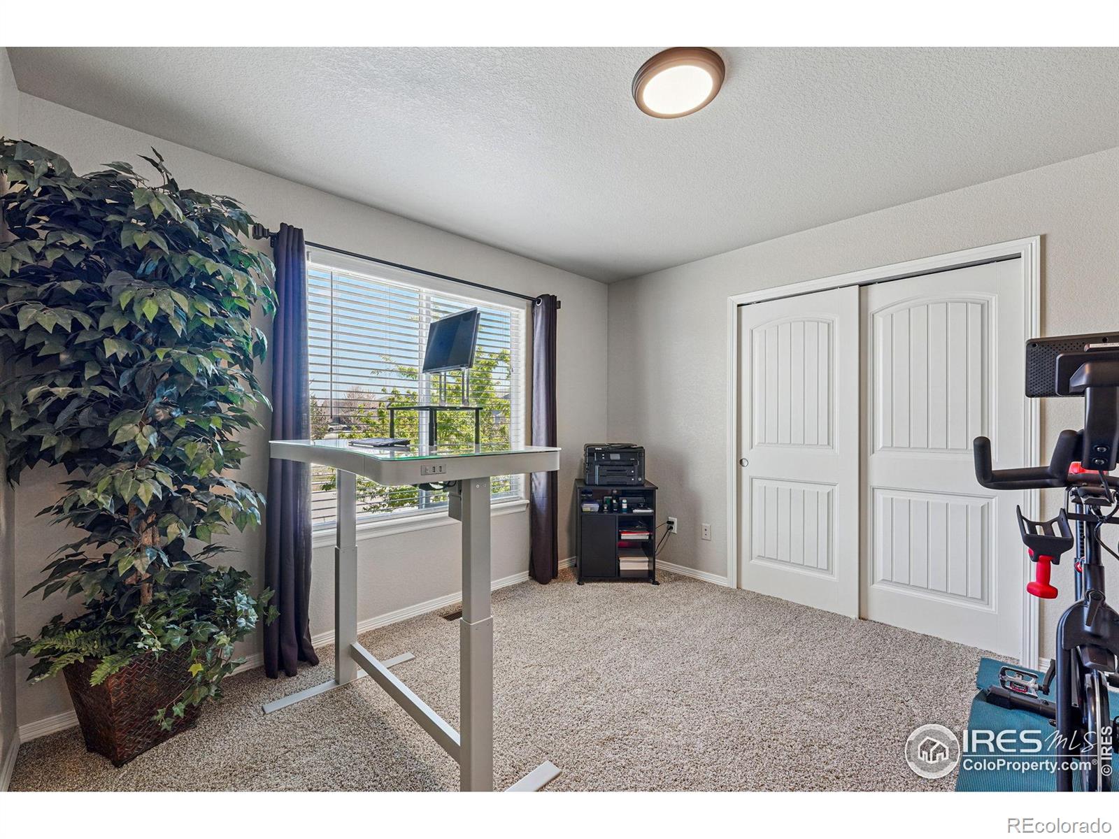 MLS Image #18 for 725  canyonlands street,berthoud, Colorado