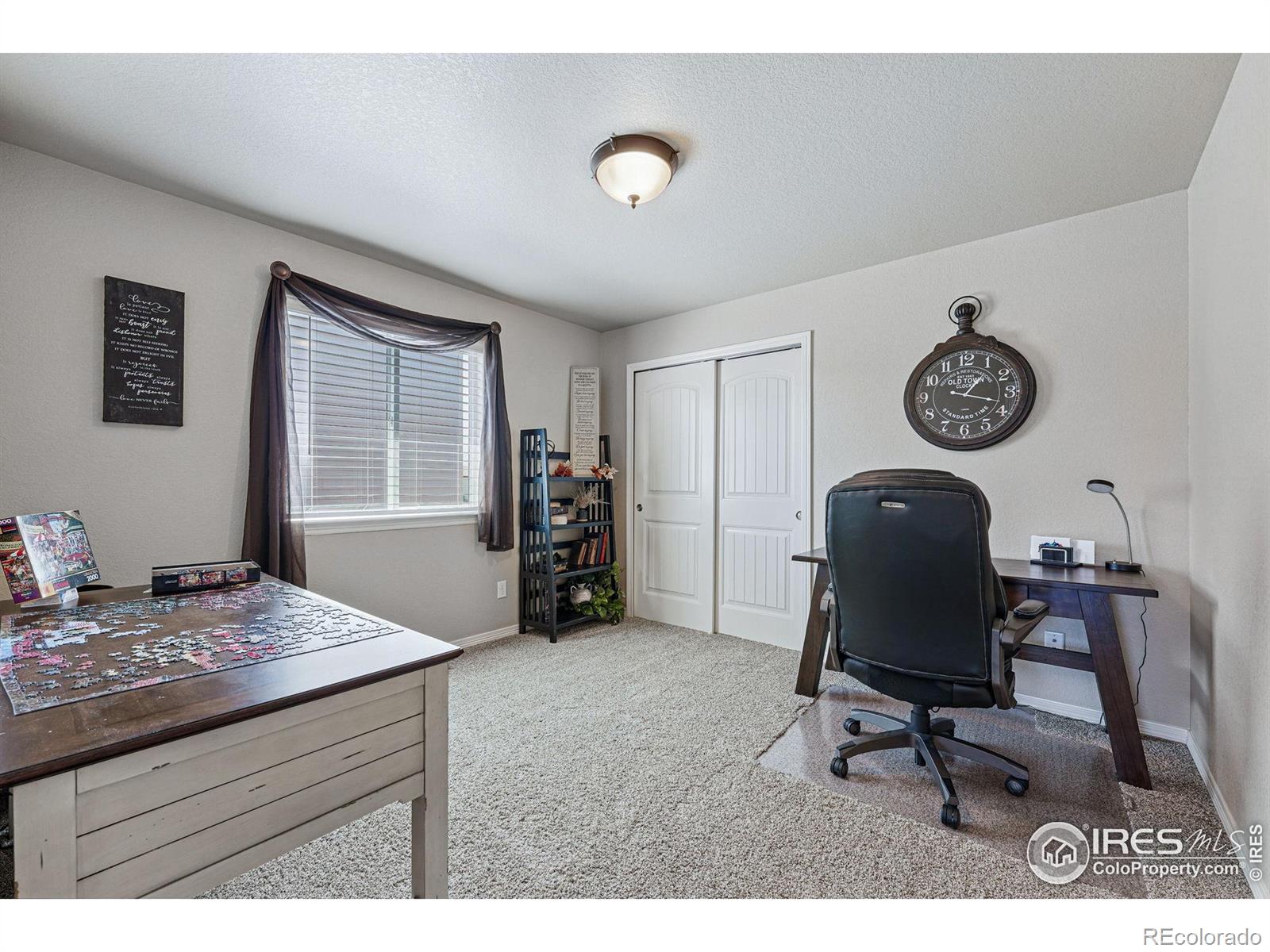 MLS Image #20 for 725  canyonlands street,berthoud, Colorado