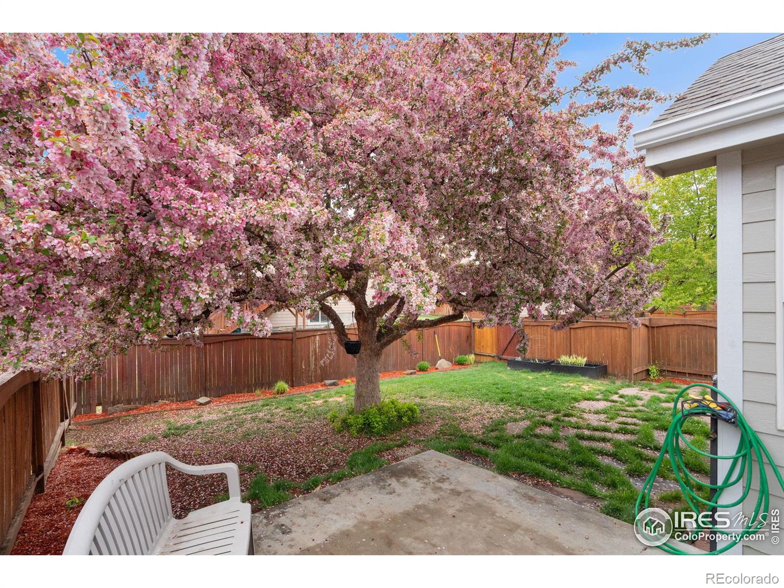 MLS Image #30 for 501  yuma court,fort collins, Colorado