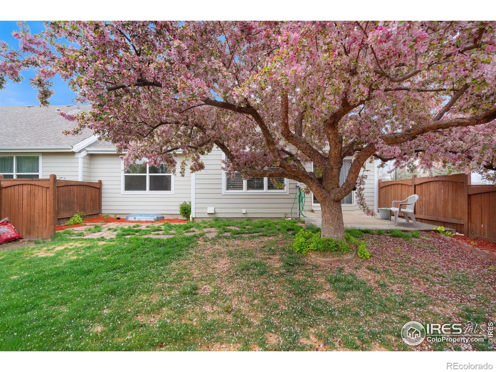 MLS Image #33 for 501  yuma court,fort collins, Colorado