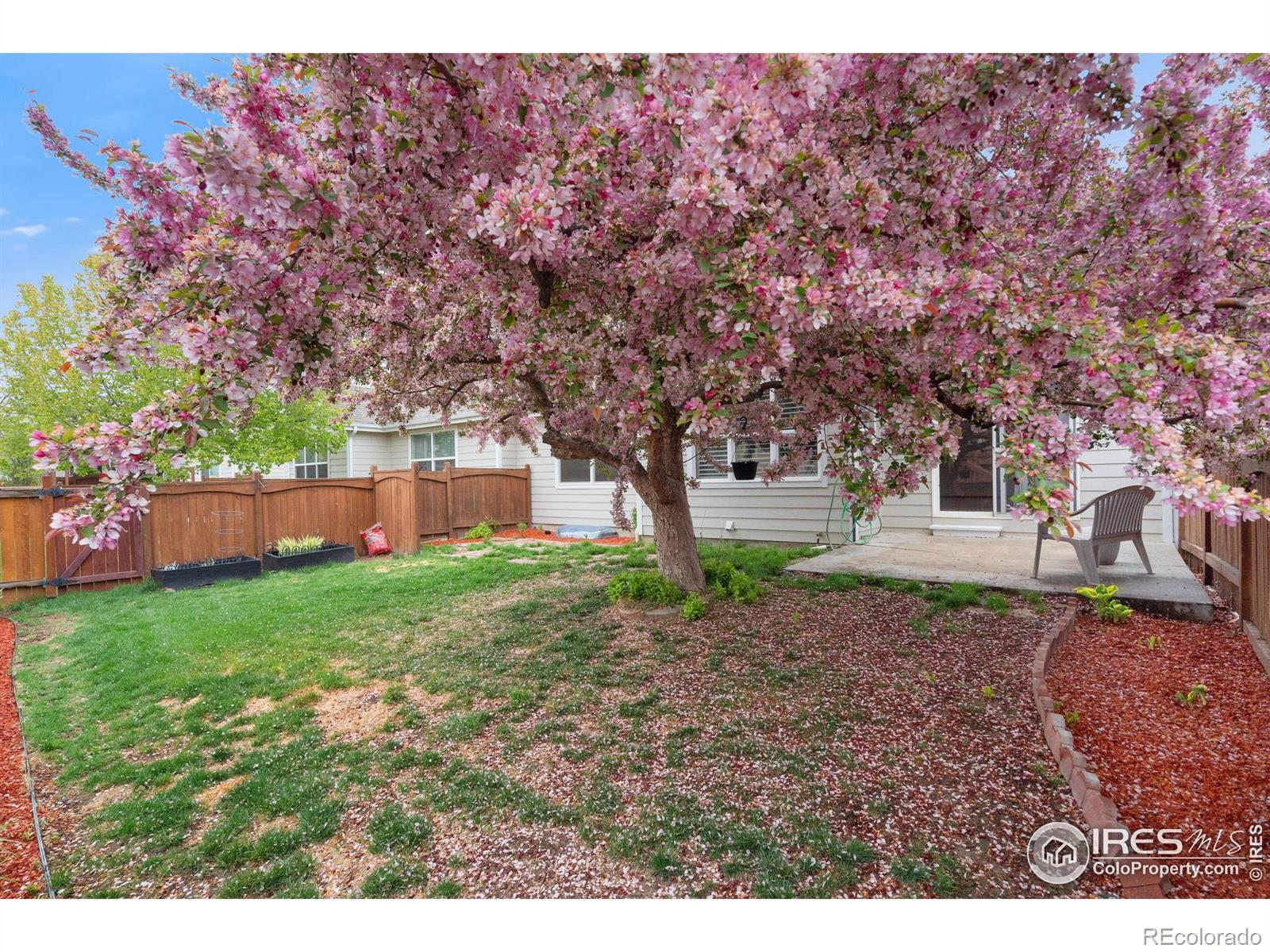 MLS Image #35 for 501  yuma court,fort collins, Colorado