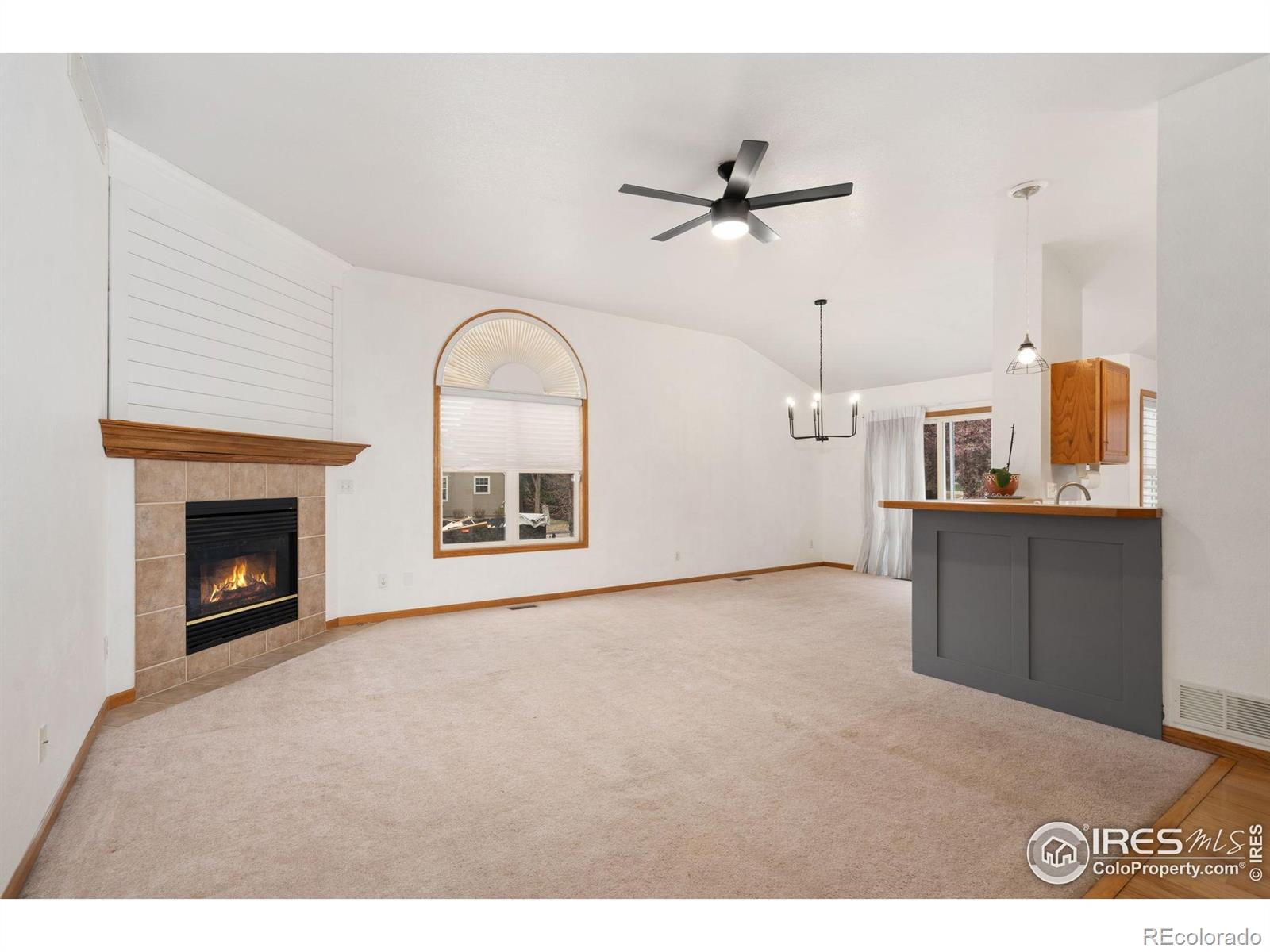 MLS Image #5 for 501  yuma court,fort collins, Colorado