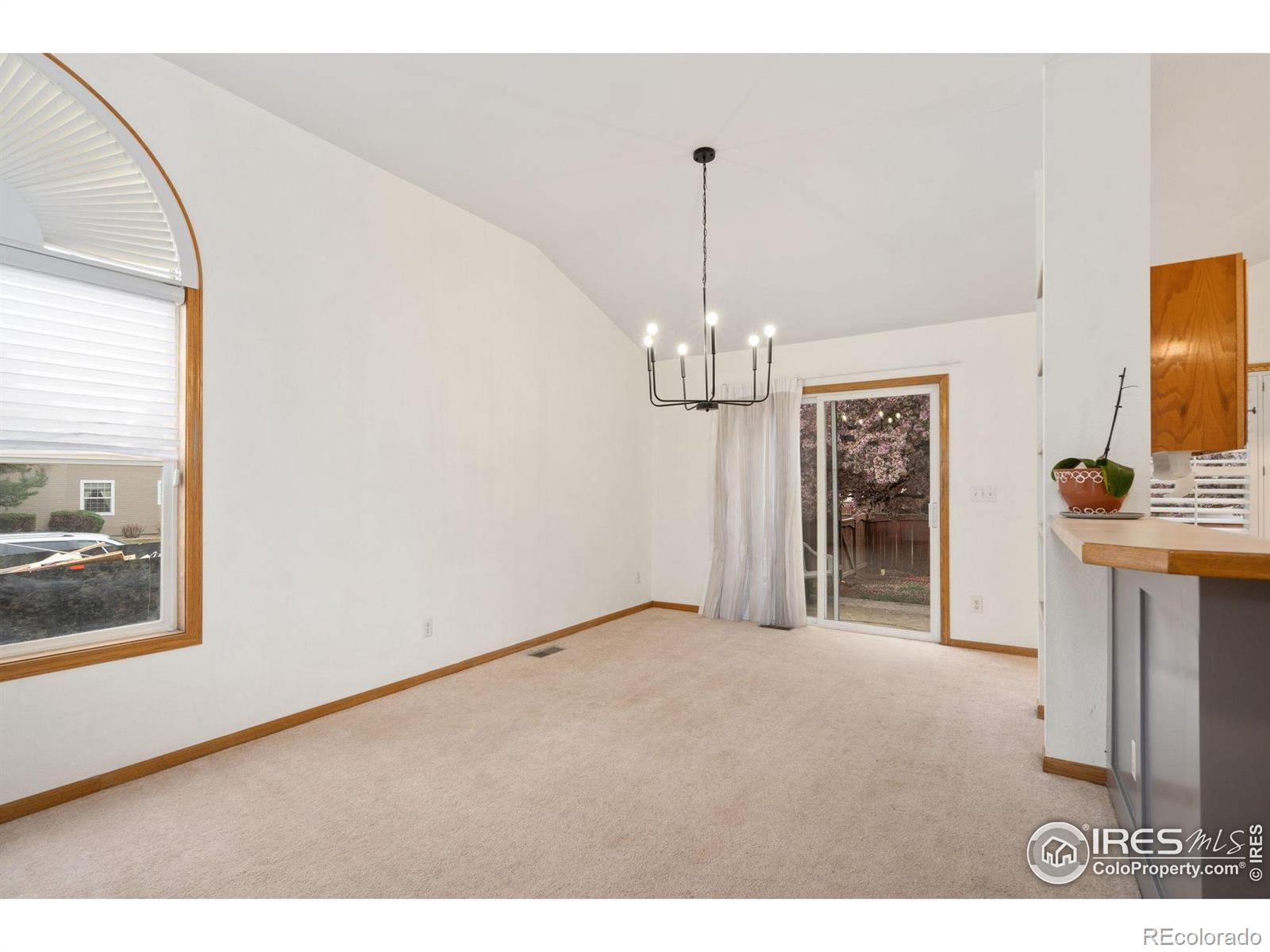MLS Image #7 for 501  yuma court,fort collins, Colorado