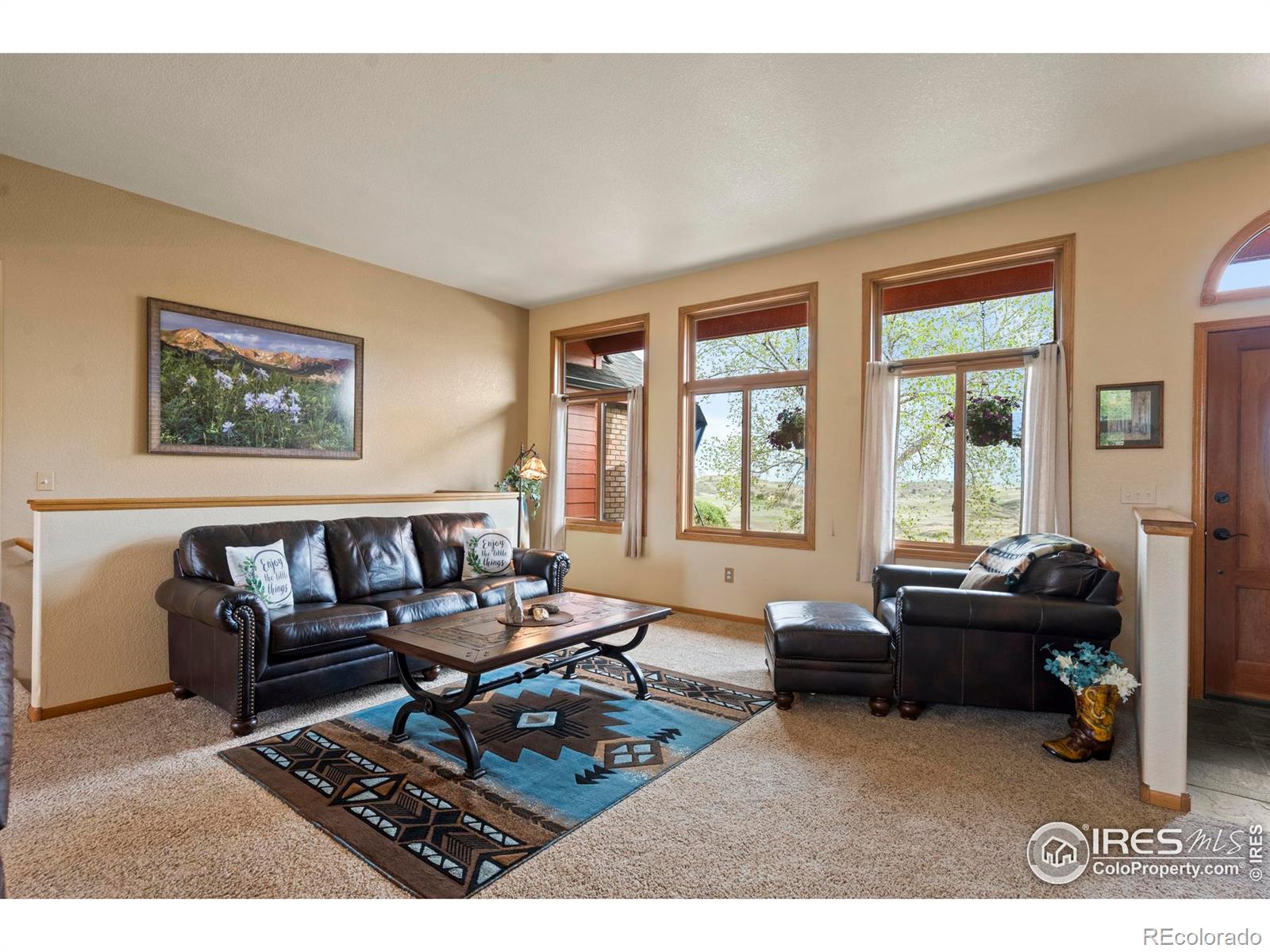 MLS Image #12 for 6319  sedona hills drive,berthoud, Colorado