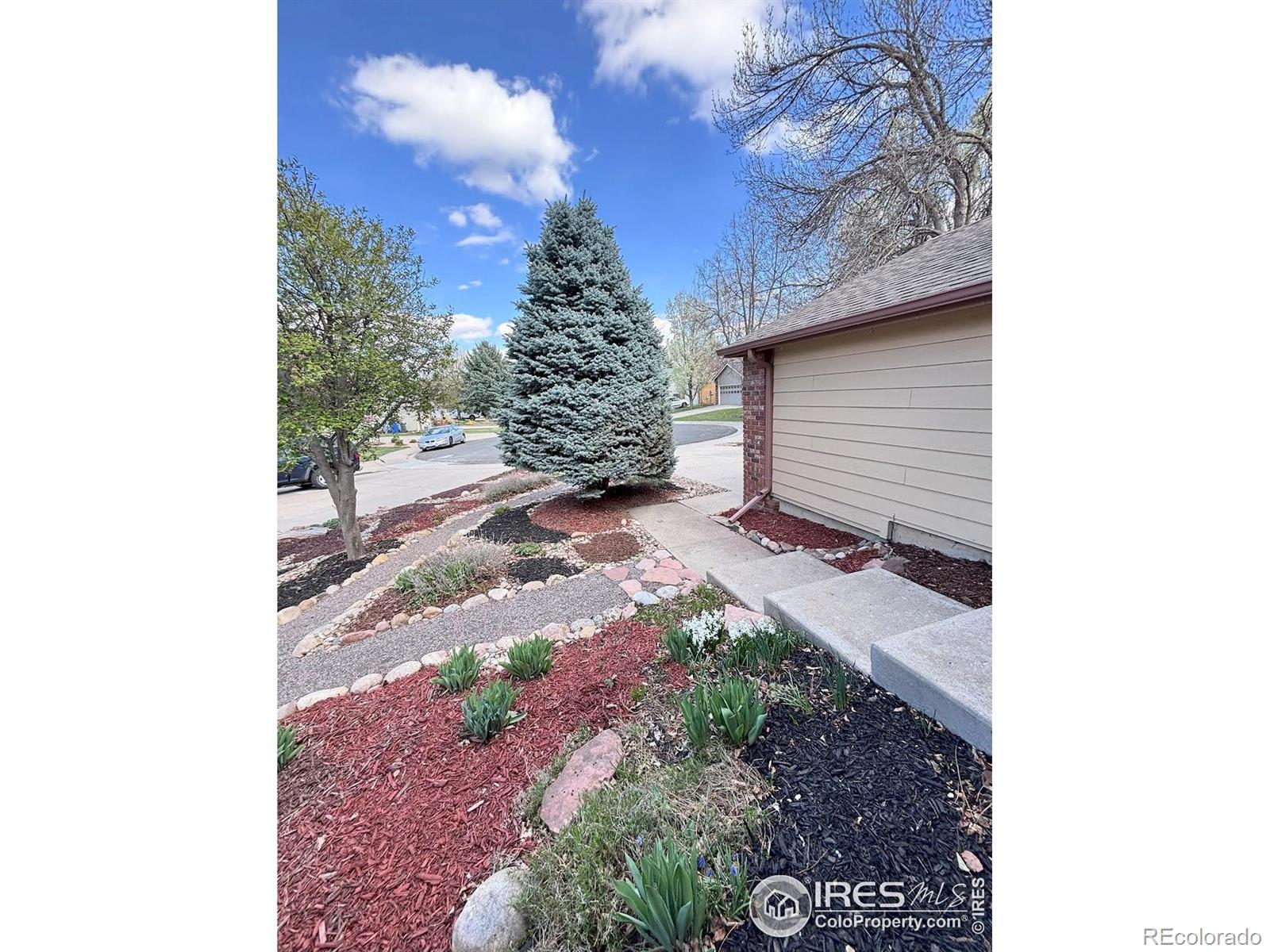 MLS Image #2 for 1600  dogwood court,fort collins, Colorado