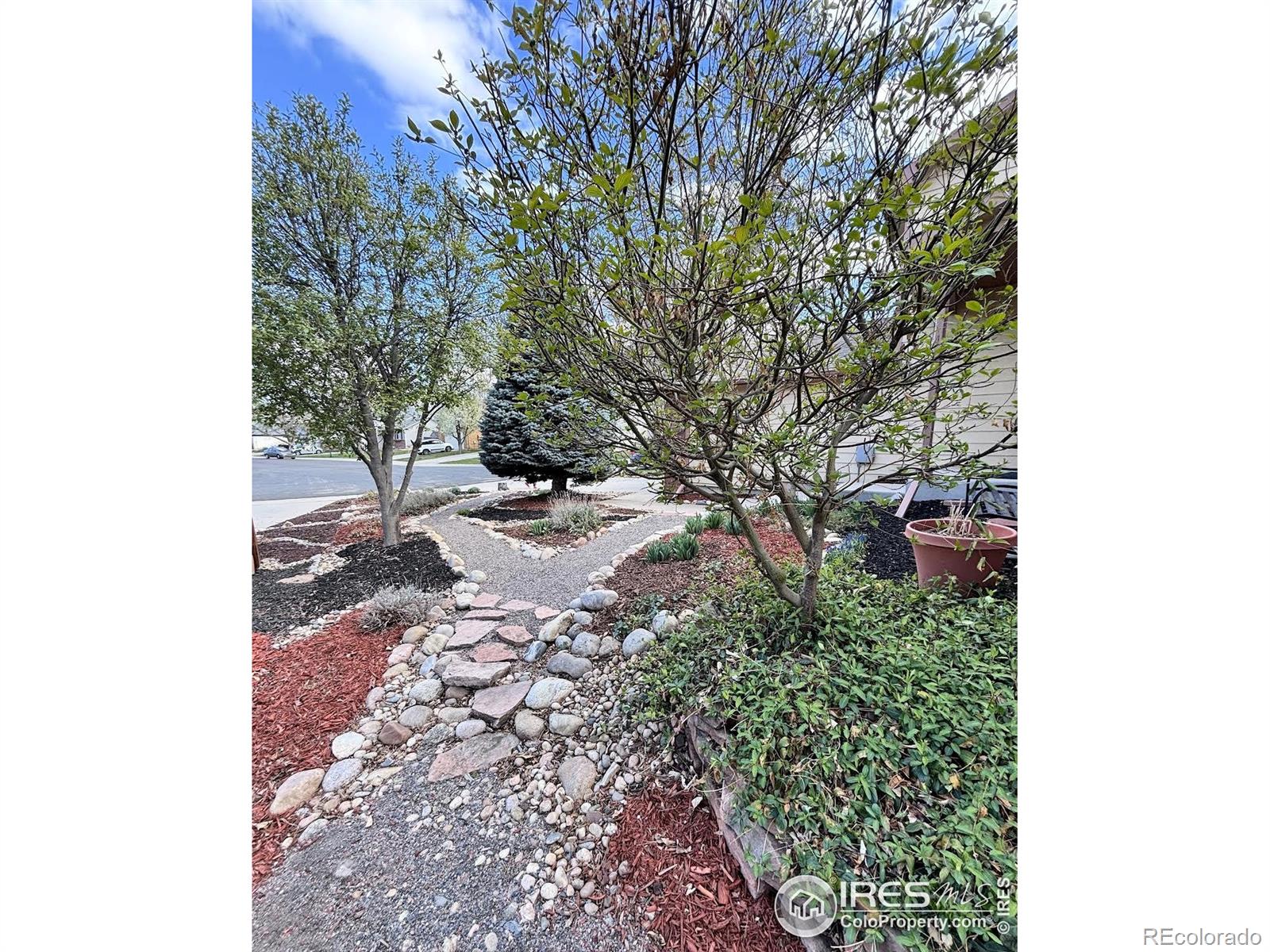 MLS Image #3 for 1600  dogwood court,fort collins, Colorado