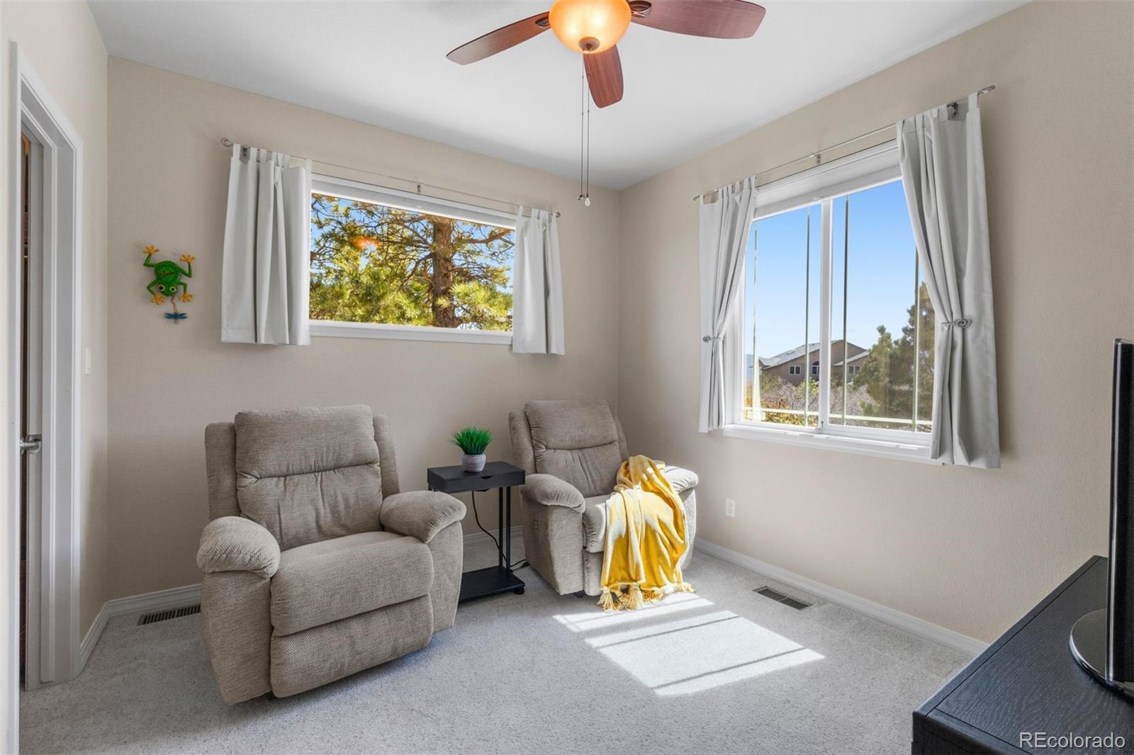 MLS Image #19 for 5515  darien way,colorado springs, Colorado