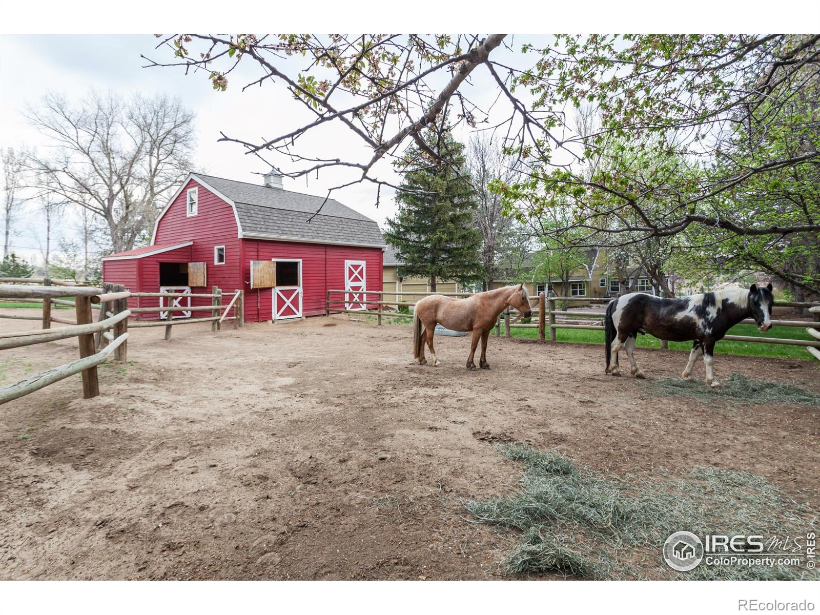 MLS Image #10 for 3609  bayshore road,fort collins, Colorado