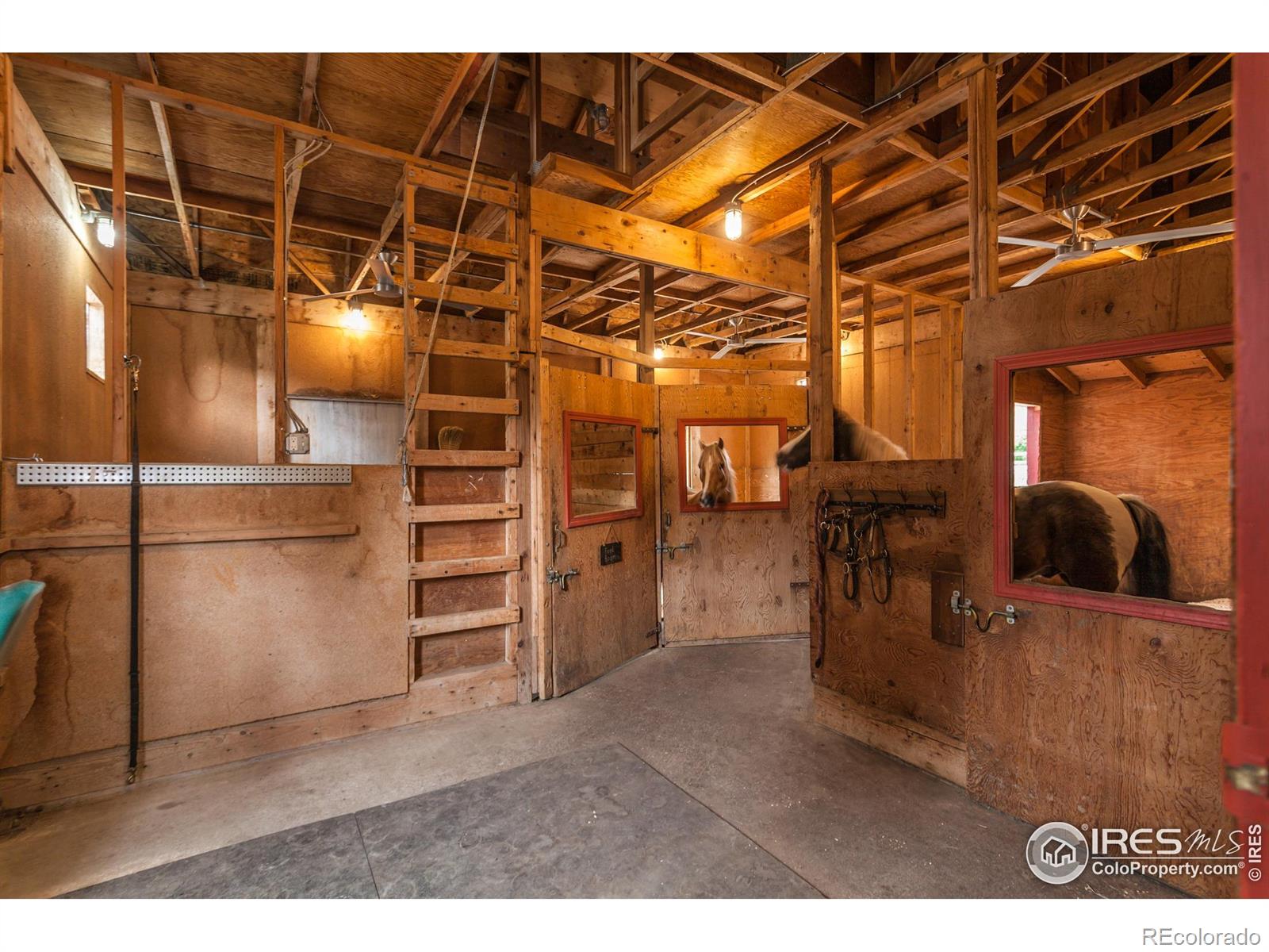 MLS Image #33 for 3609  bayshore road,fort collins, Colorado