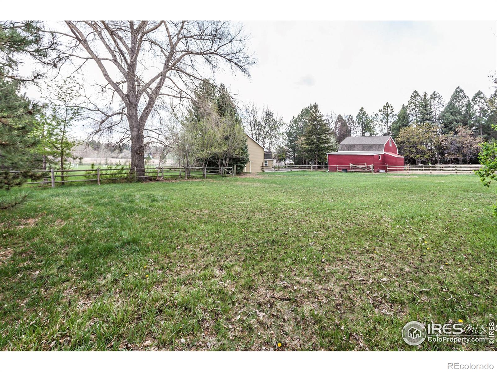 MLS Image #36 for 3609  bayshore road,fort collins, Colorado