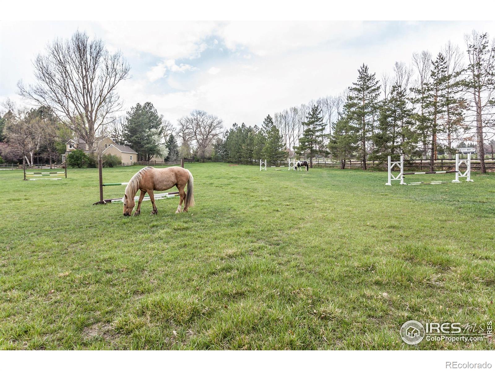 MLS Image #37 for 3609  bayshore road,fort collins, Colorado