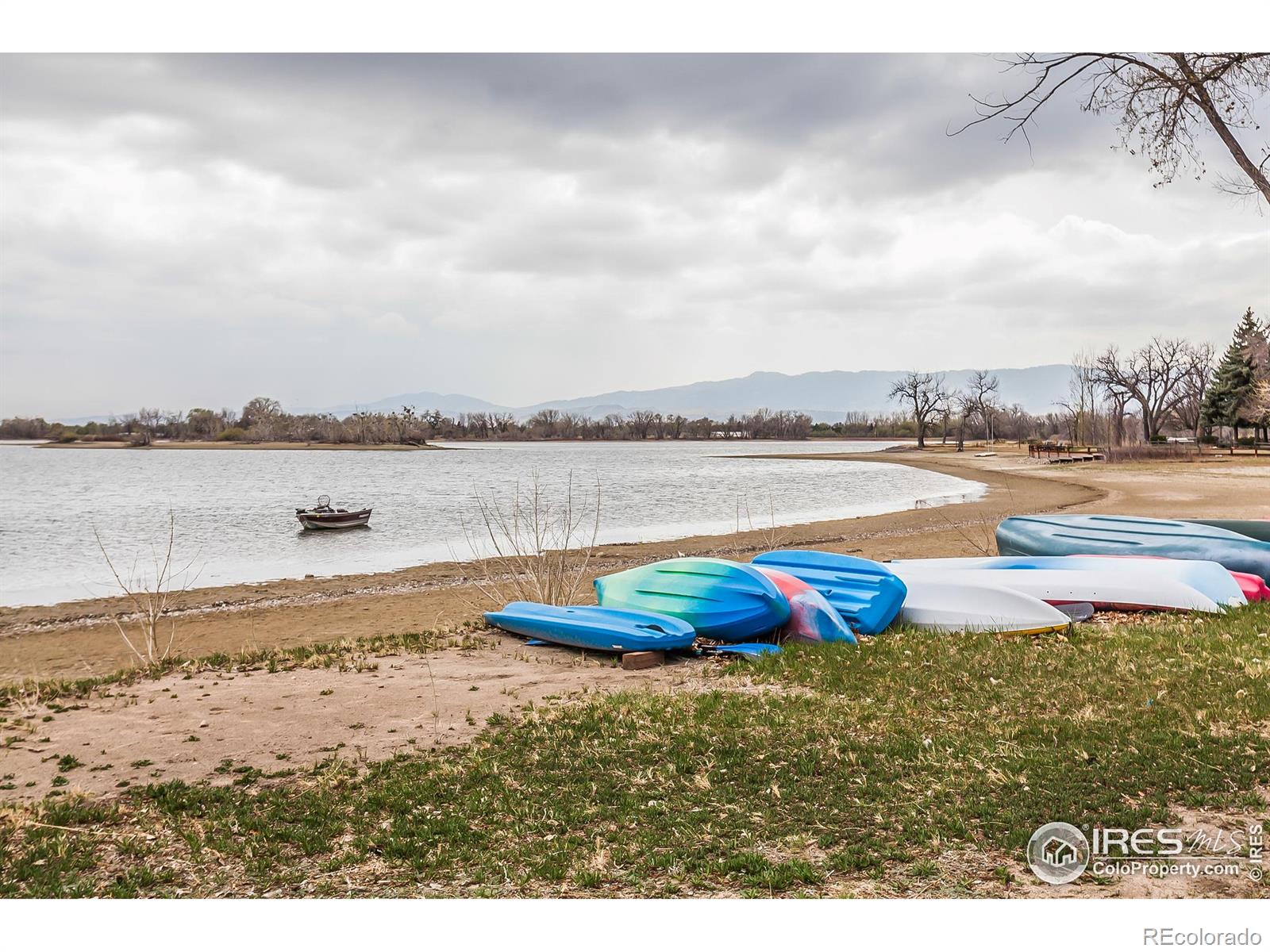 MLS Image #39 for 3609  bayshore road,fort collins, Colorado