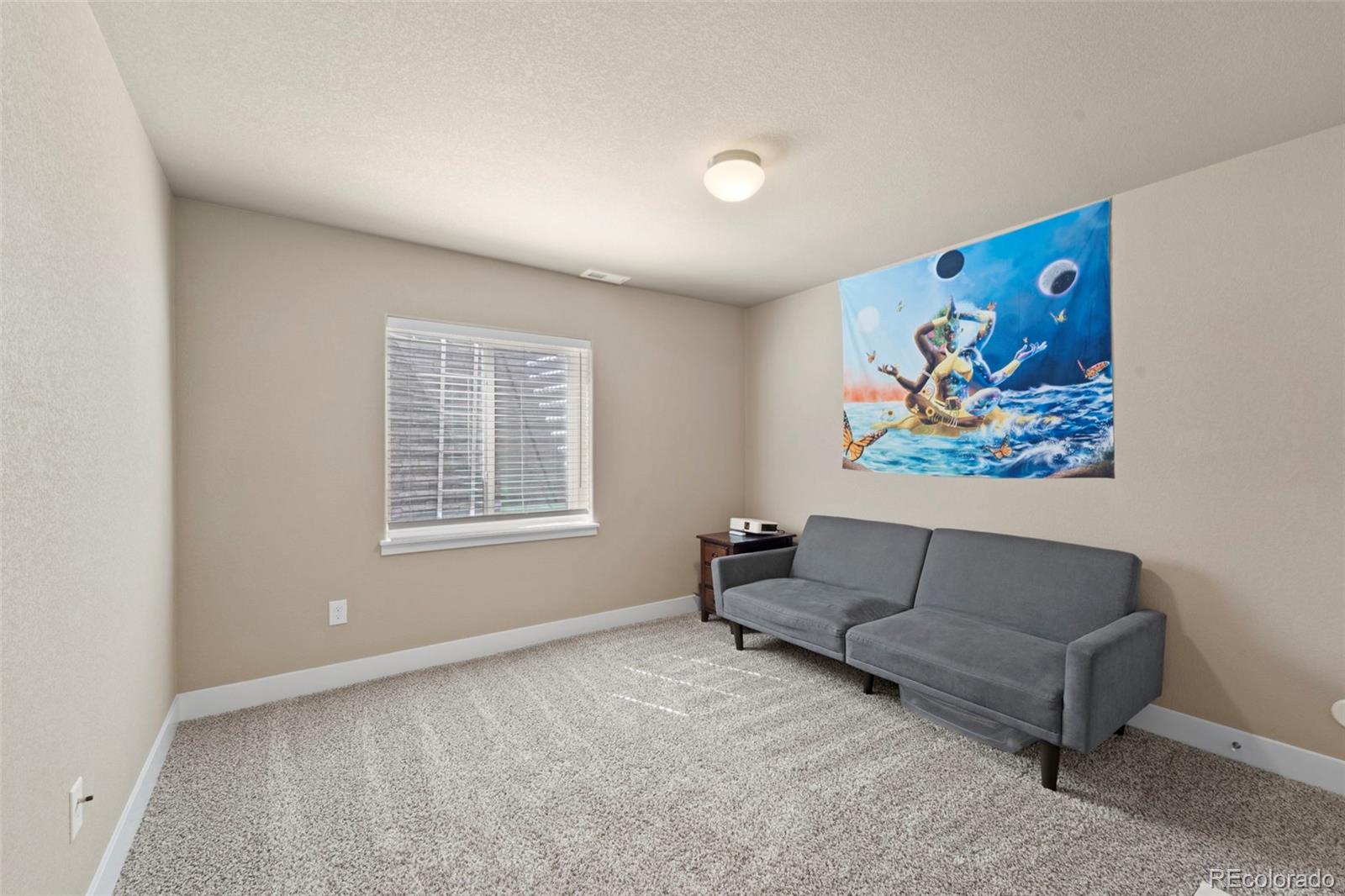 MLS Image #21 for 2972  namib drive,colorado springs, Colorado
