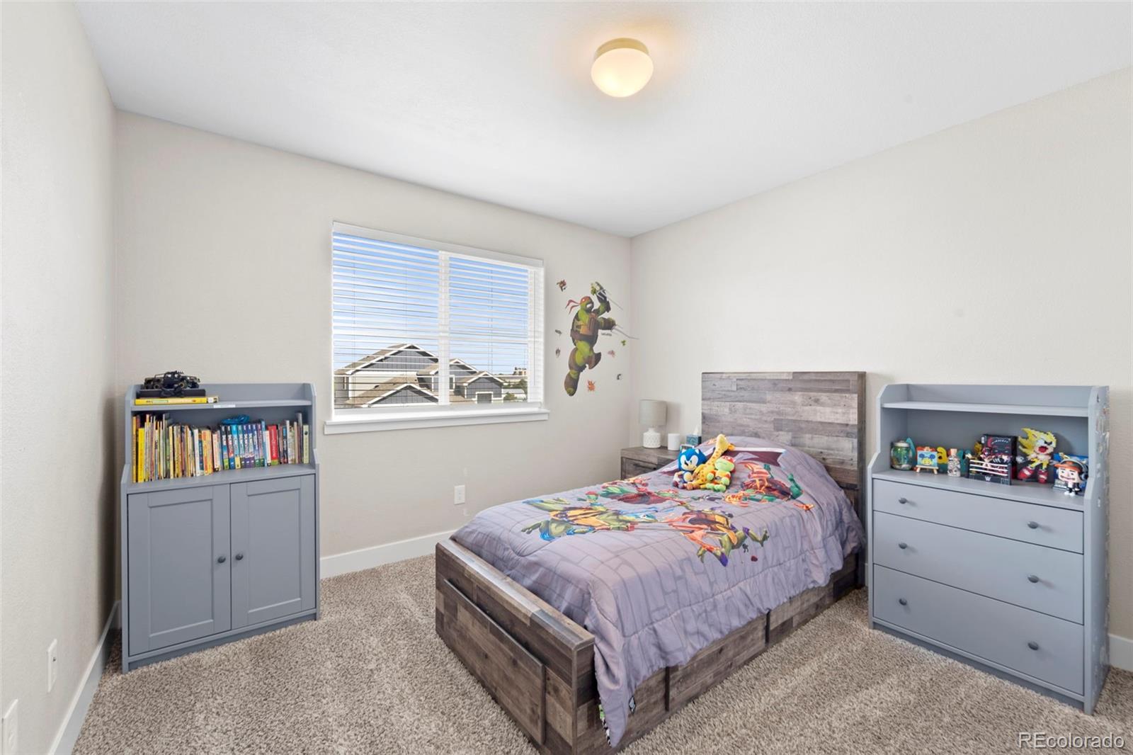 MLS Image #26 for 2972  namib drive,colorado springs, Colorado