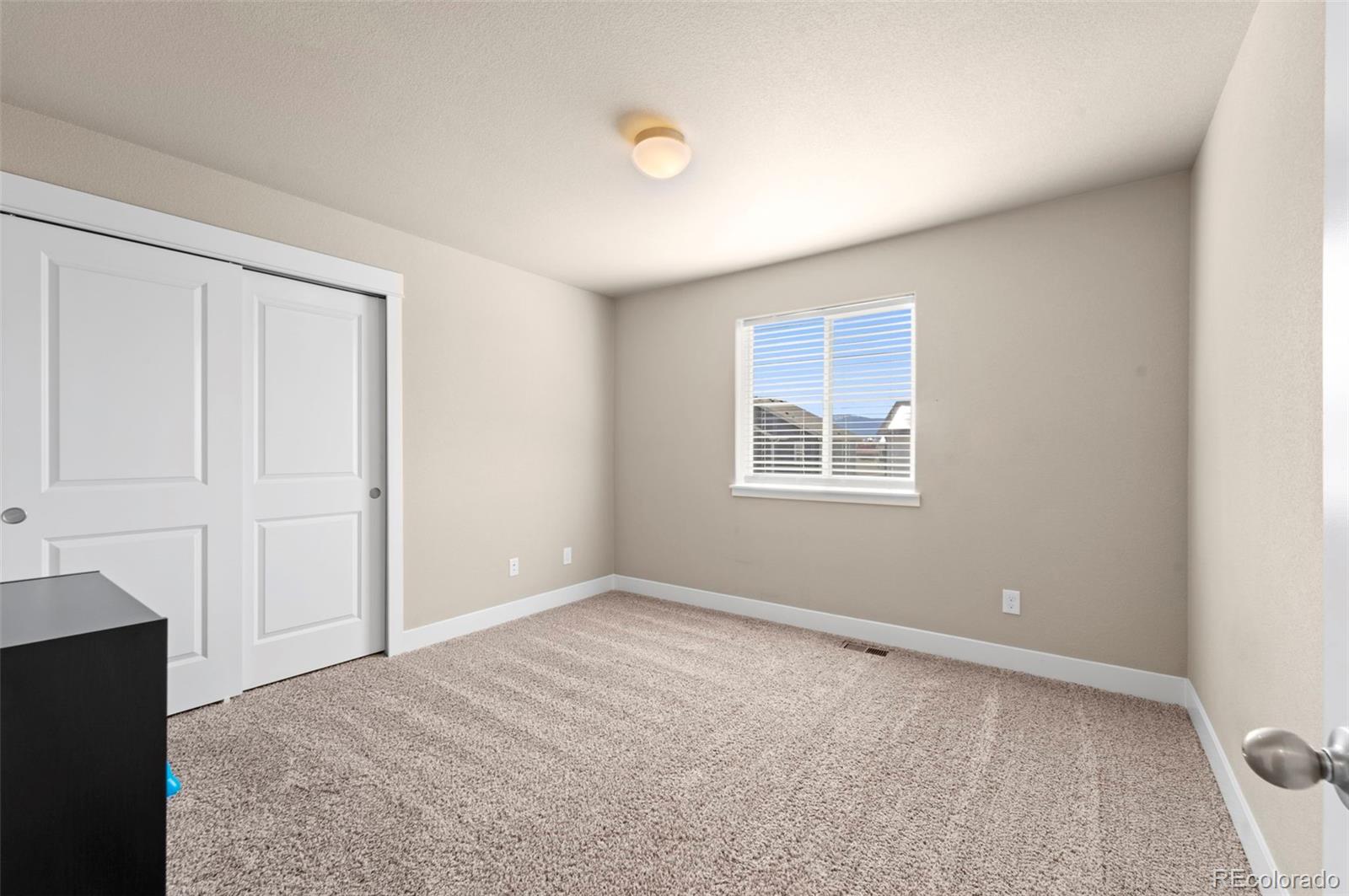 MLS Image #34 for 2972  namib drive,colorado springs, Colorado