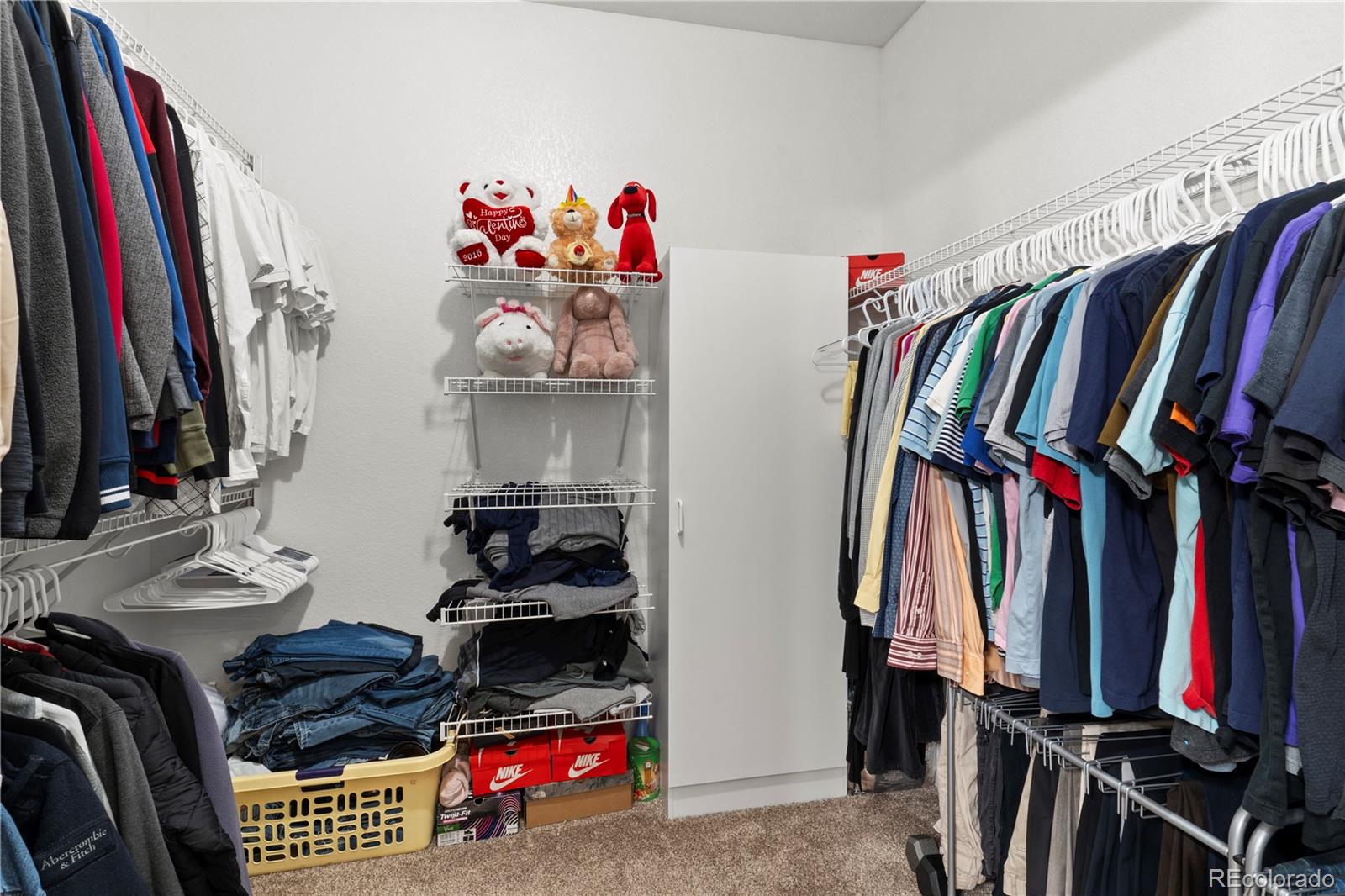 MLS Image #20 for 5200  lynn meadows drive,pueblo, Colorado