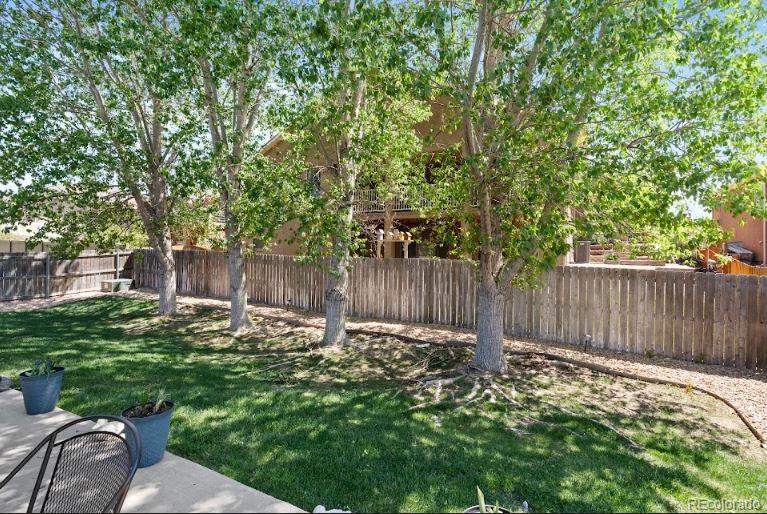 MLS Image #38 for 5200  lynn meadows drive,pueblo, Colorado