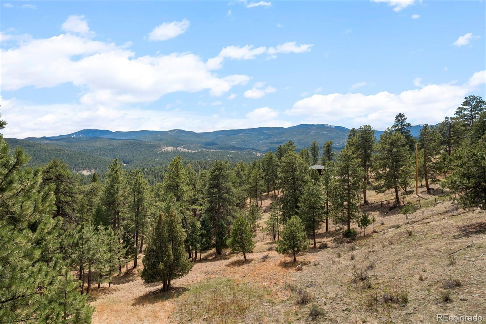 MLS Image #47 for 394 s ponderosa way,evergreen, Colorado
