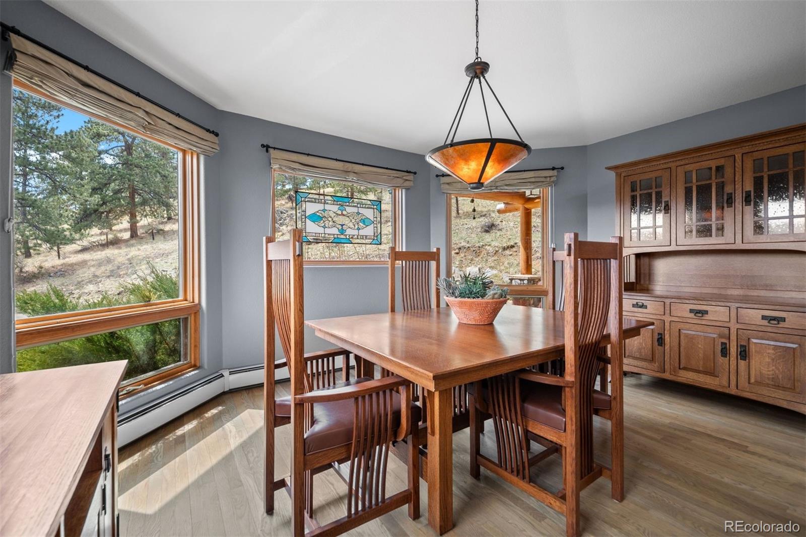 MLS Image #9 for 394 s ponderosa way,evergreen, Colorado
