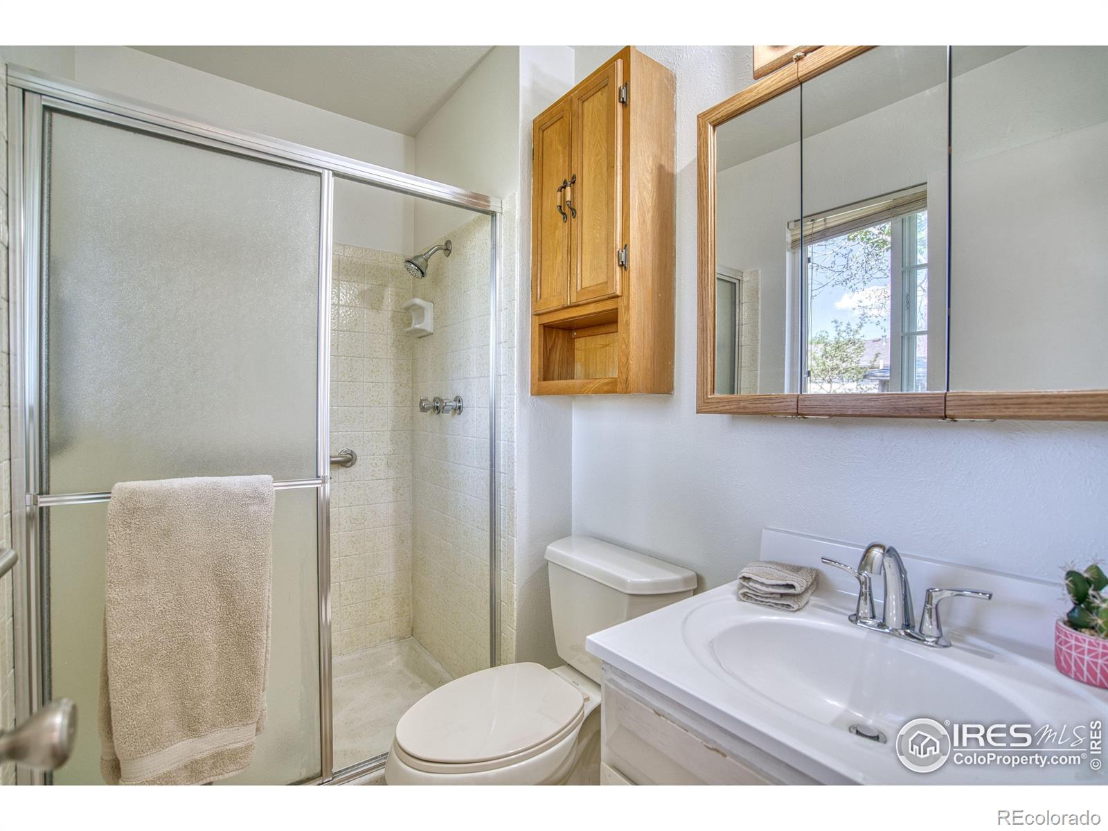 MLS Image #12 for 19  university circle,longmont, Colorado