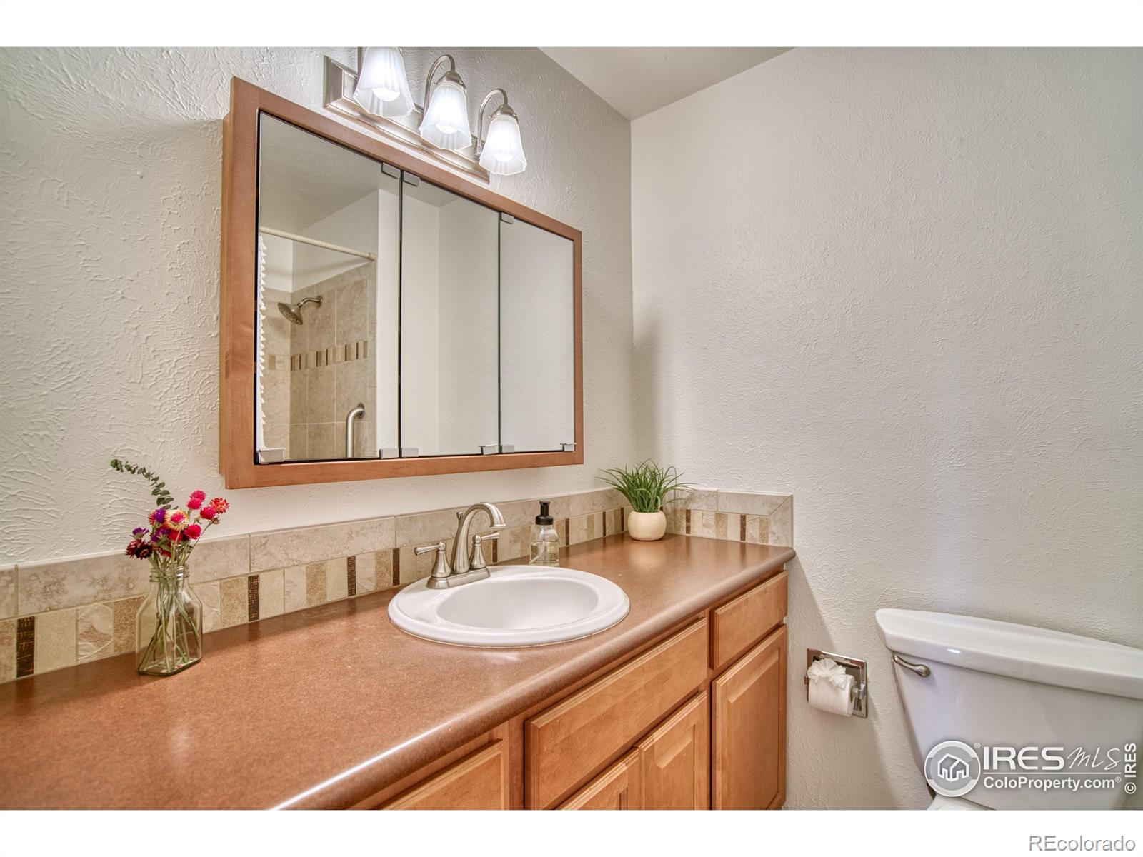 MLS Image #14 for 19  university circle,longmont, Colorado