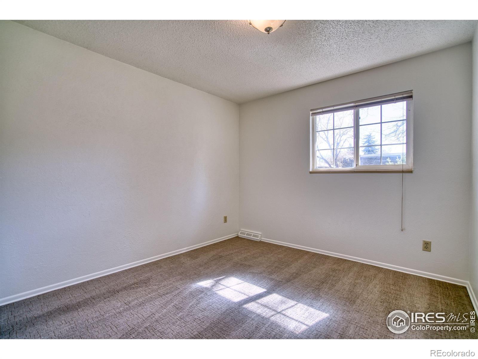 MLS Image #16 for 19  university circle,longmont, Colorado