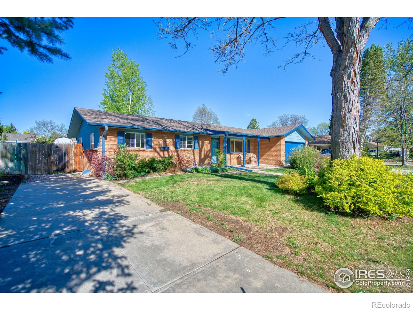 MLS Image #3 for 19  university circle,longmont, Colorado