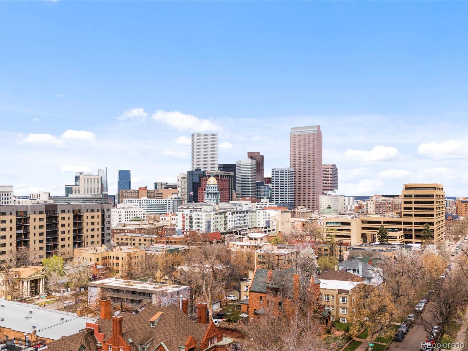 MLS Image #31 for 1130 n n pennsylvania street,denver, Colorado